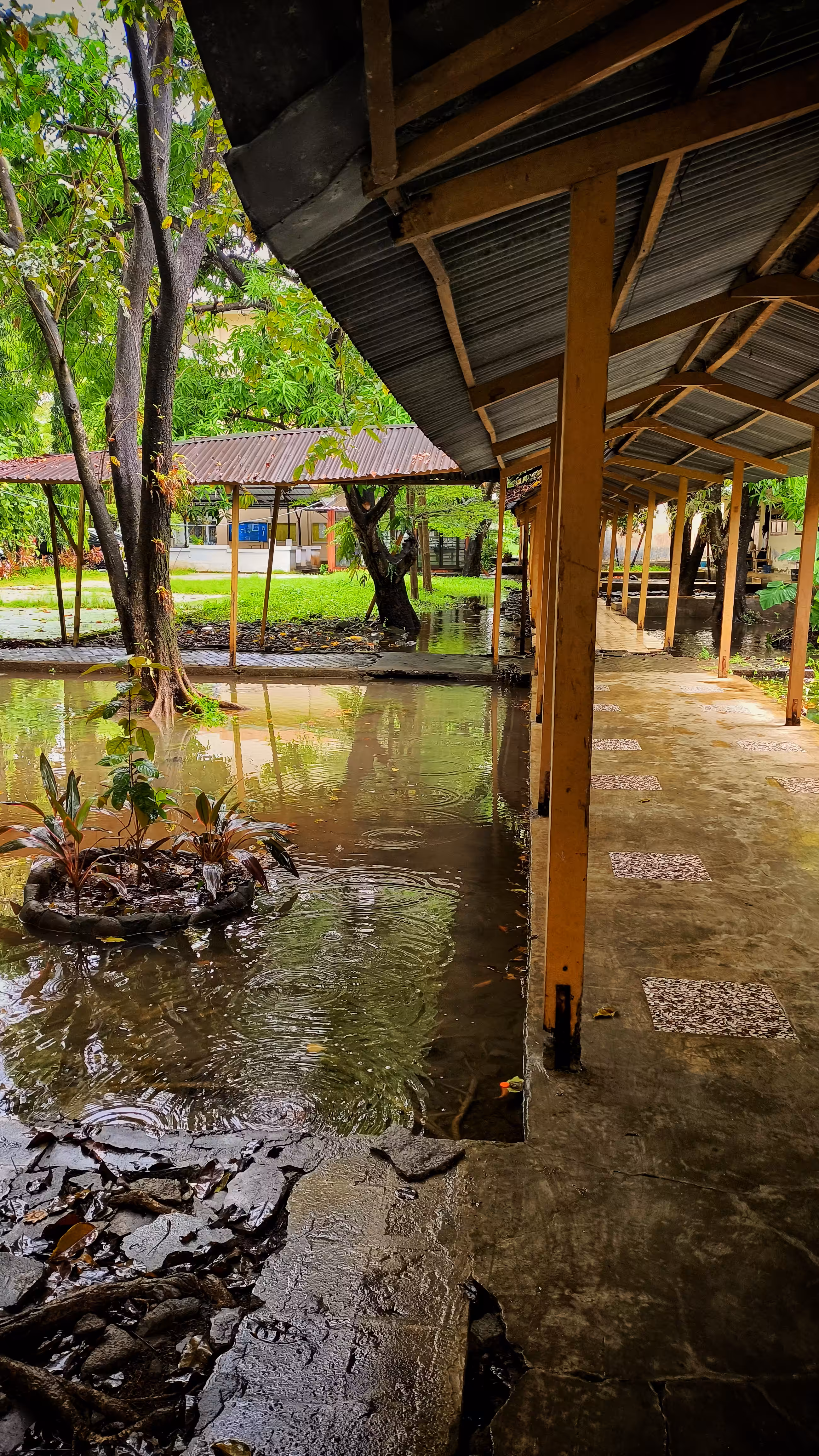 Creative Art: Reflections After the Rain