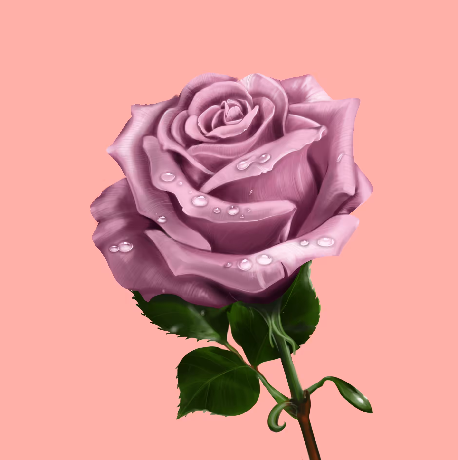 Rose pink