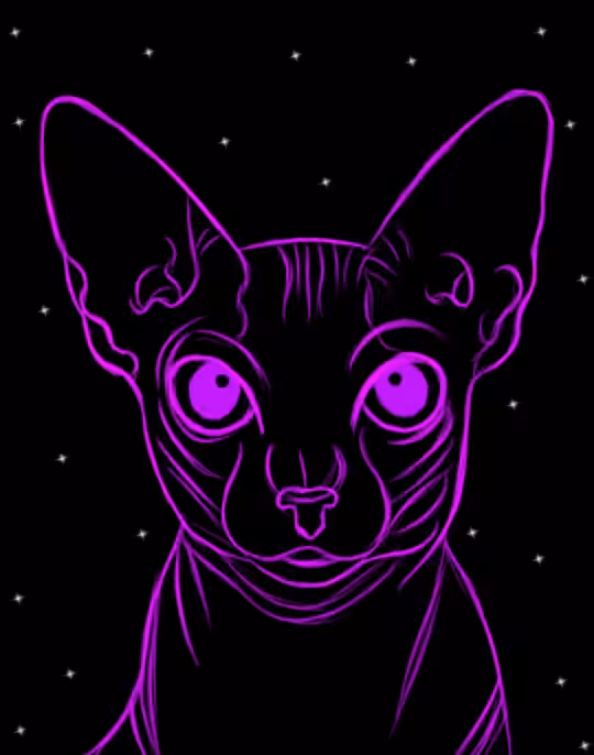 Galaxy Sphynx cat #3