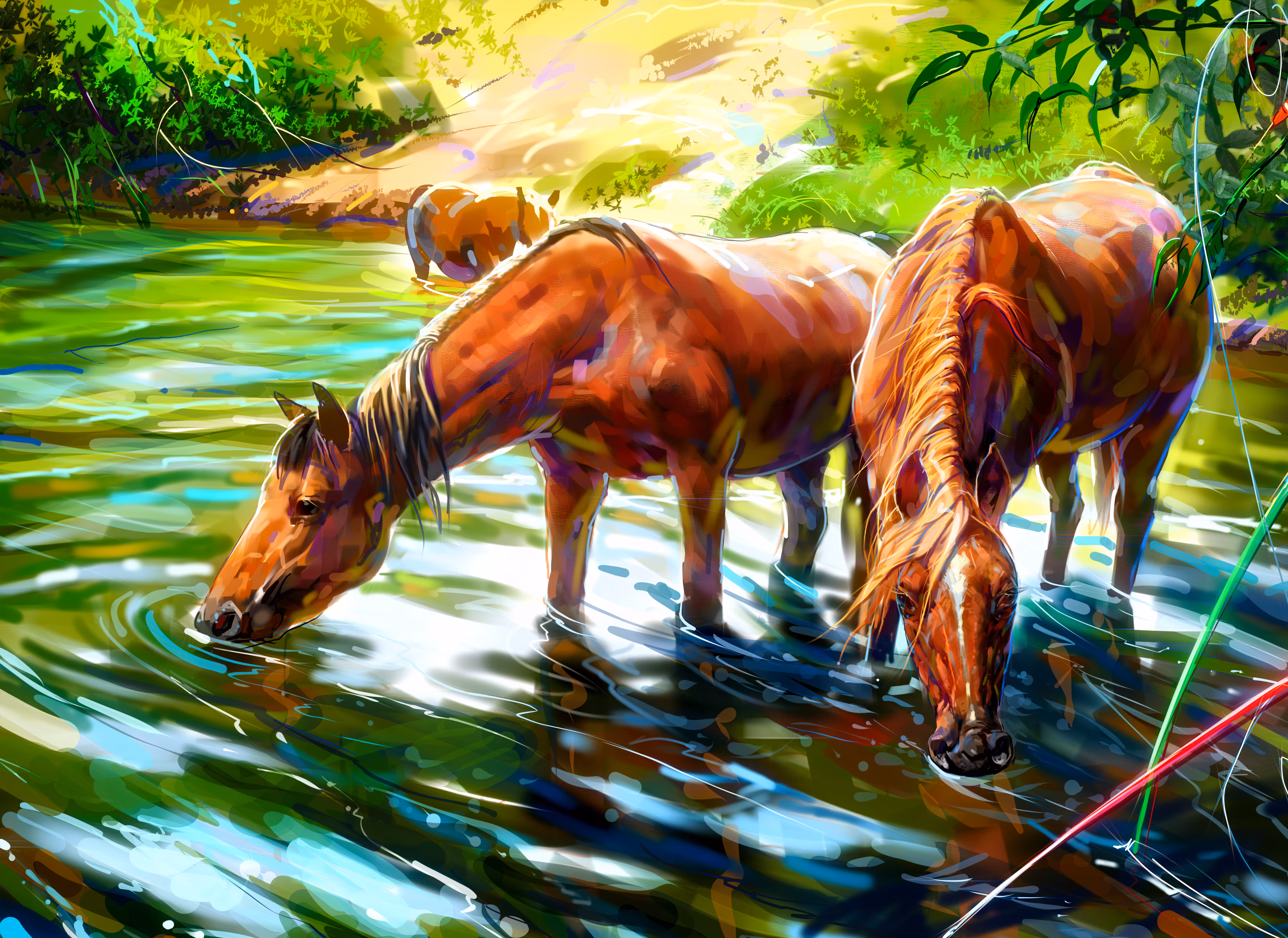Feral Horses