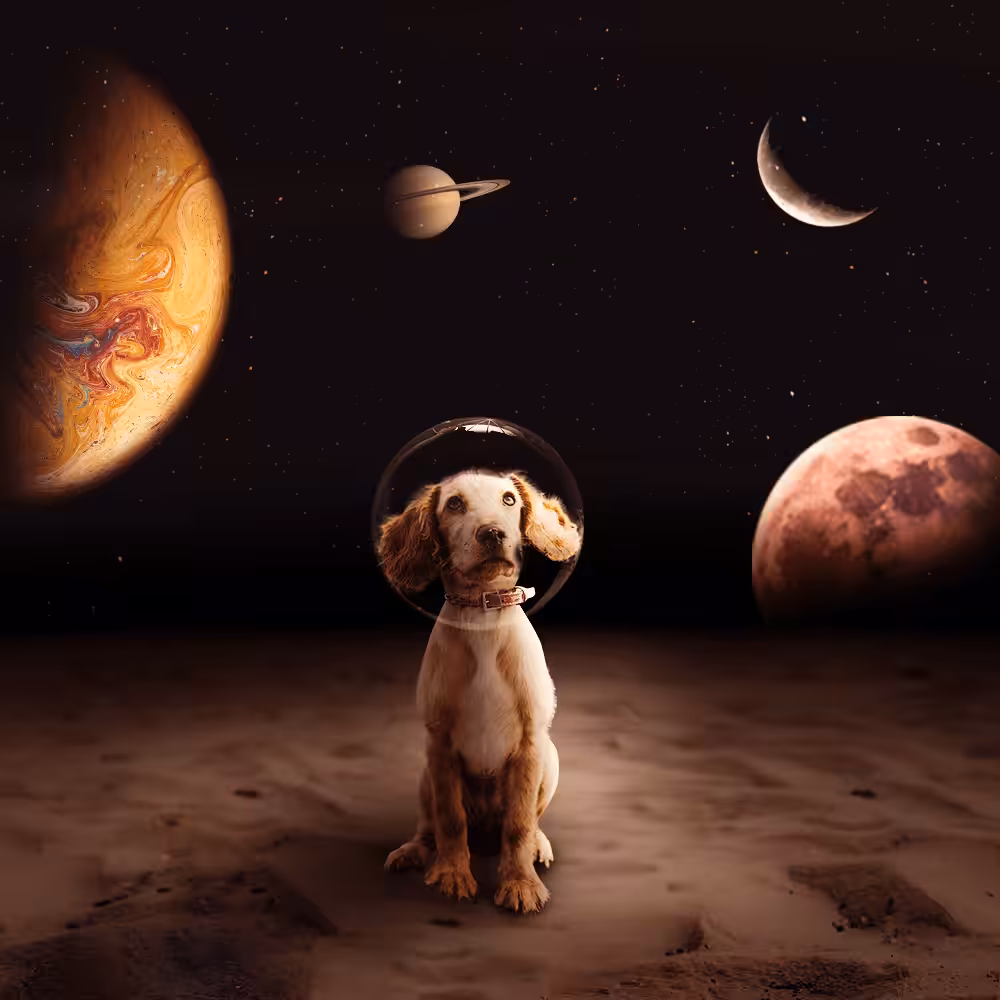 Fantasy Manipulation #53