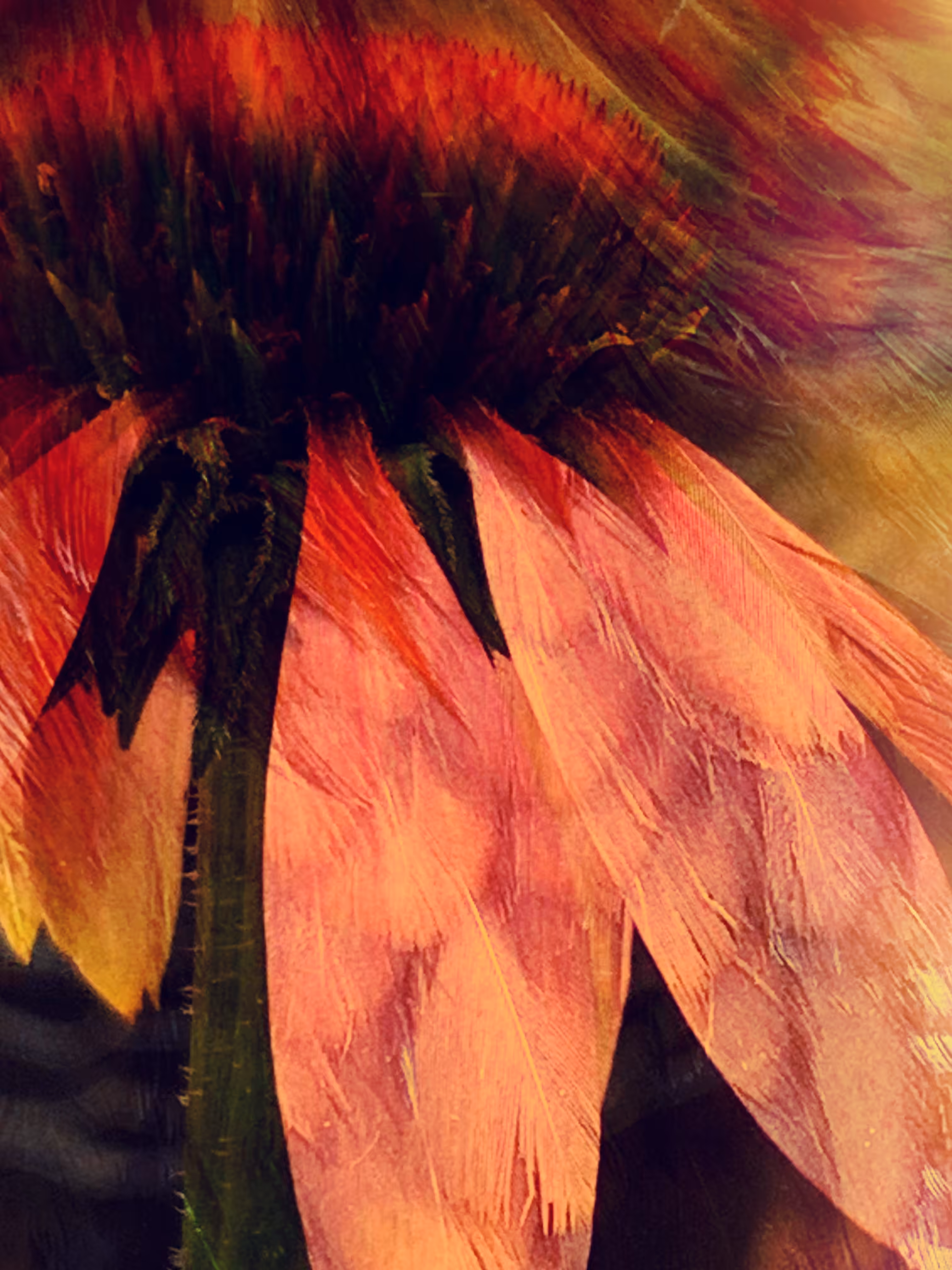 FeatherFlower