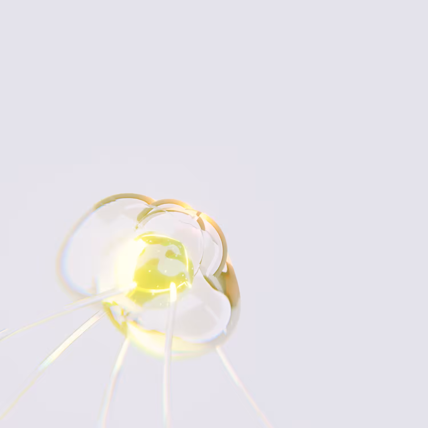 Eggfish