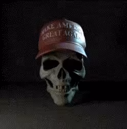 Maga 45-47