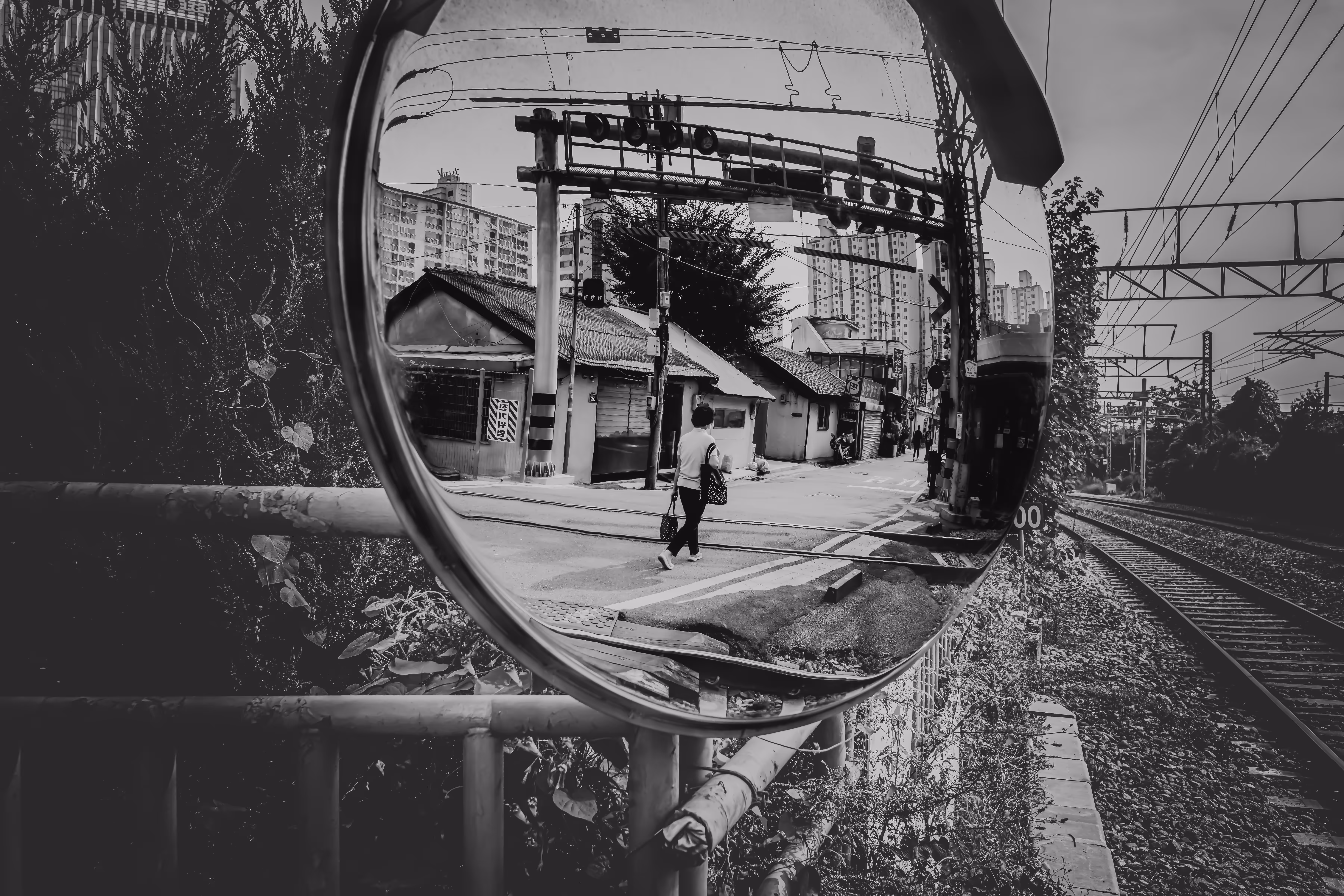 Time Traveler
