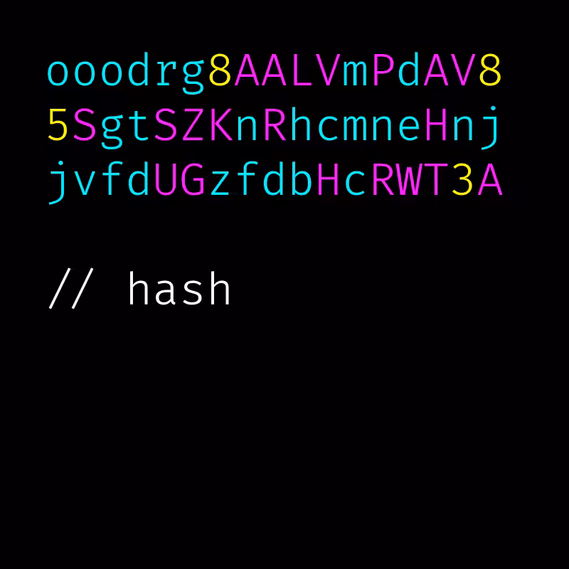 hash #6