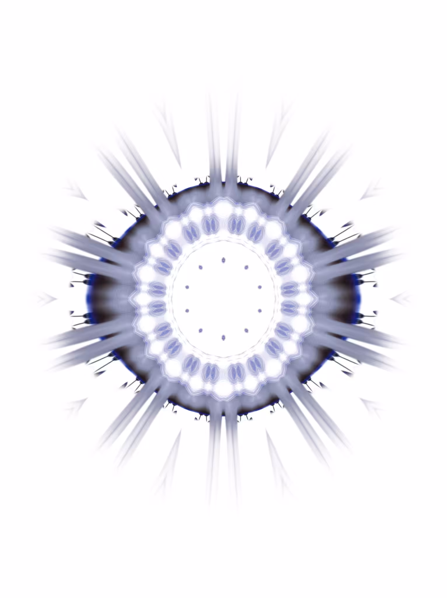 The Iris