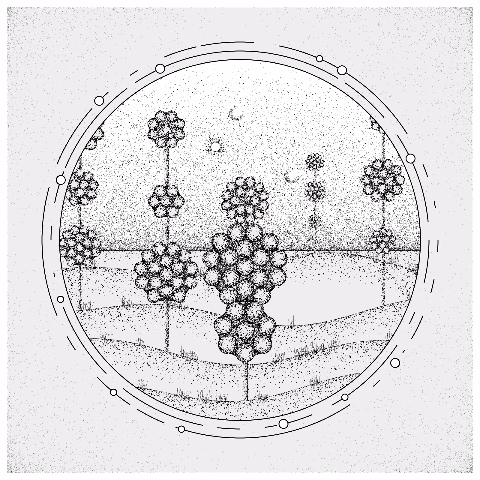 EXPLORING SPACE FLOWERS #52
