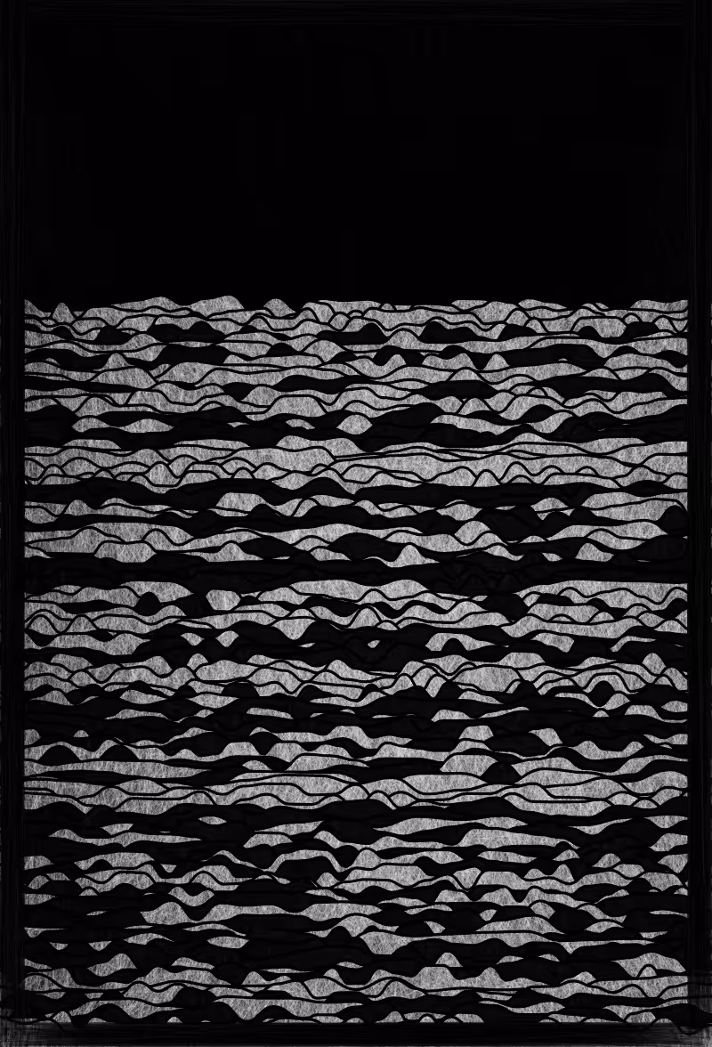 Ode to black and white #11