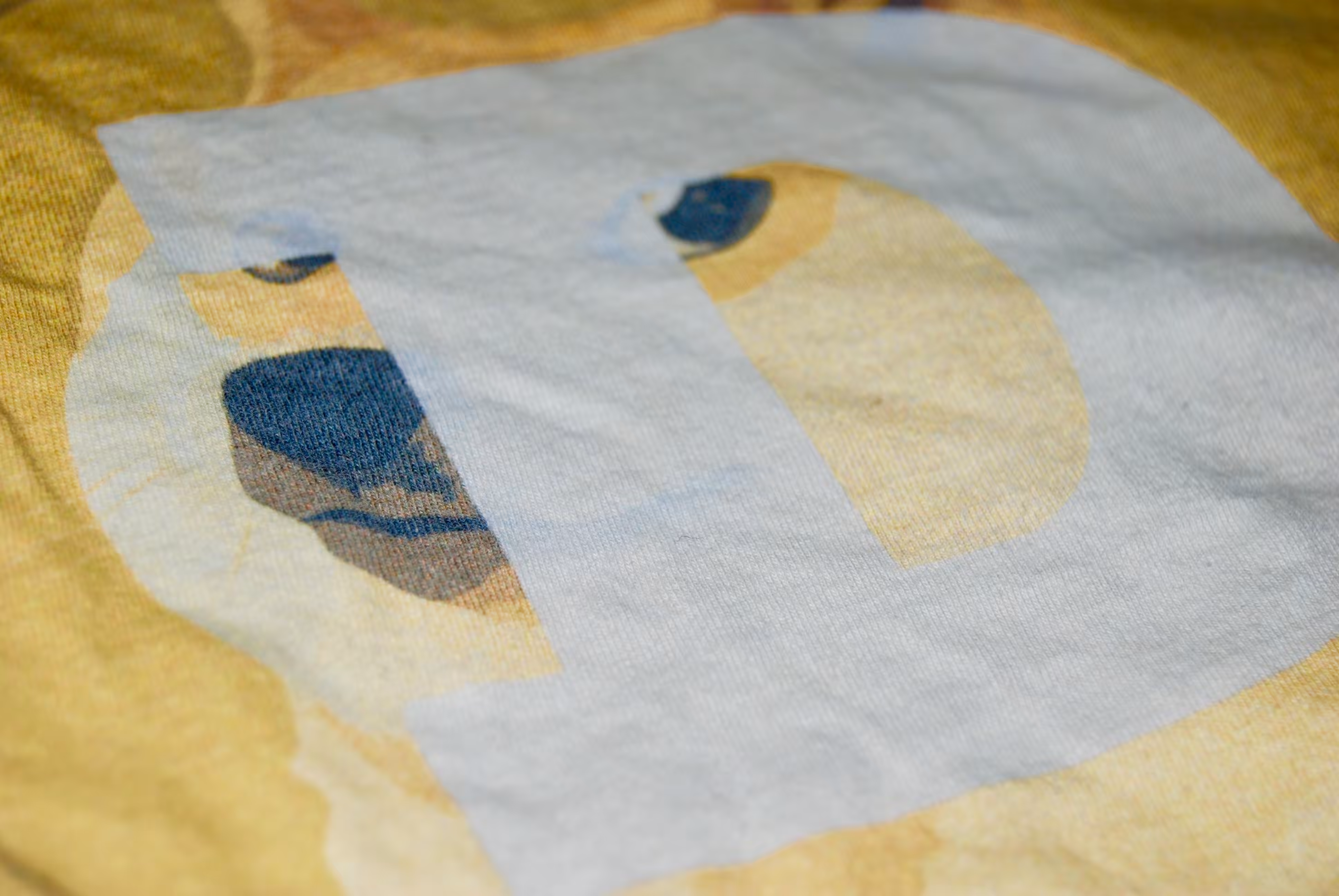 printed doge (alt 2)