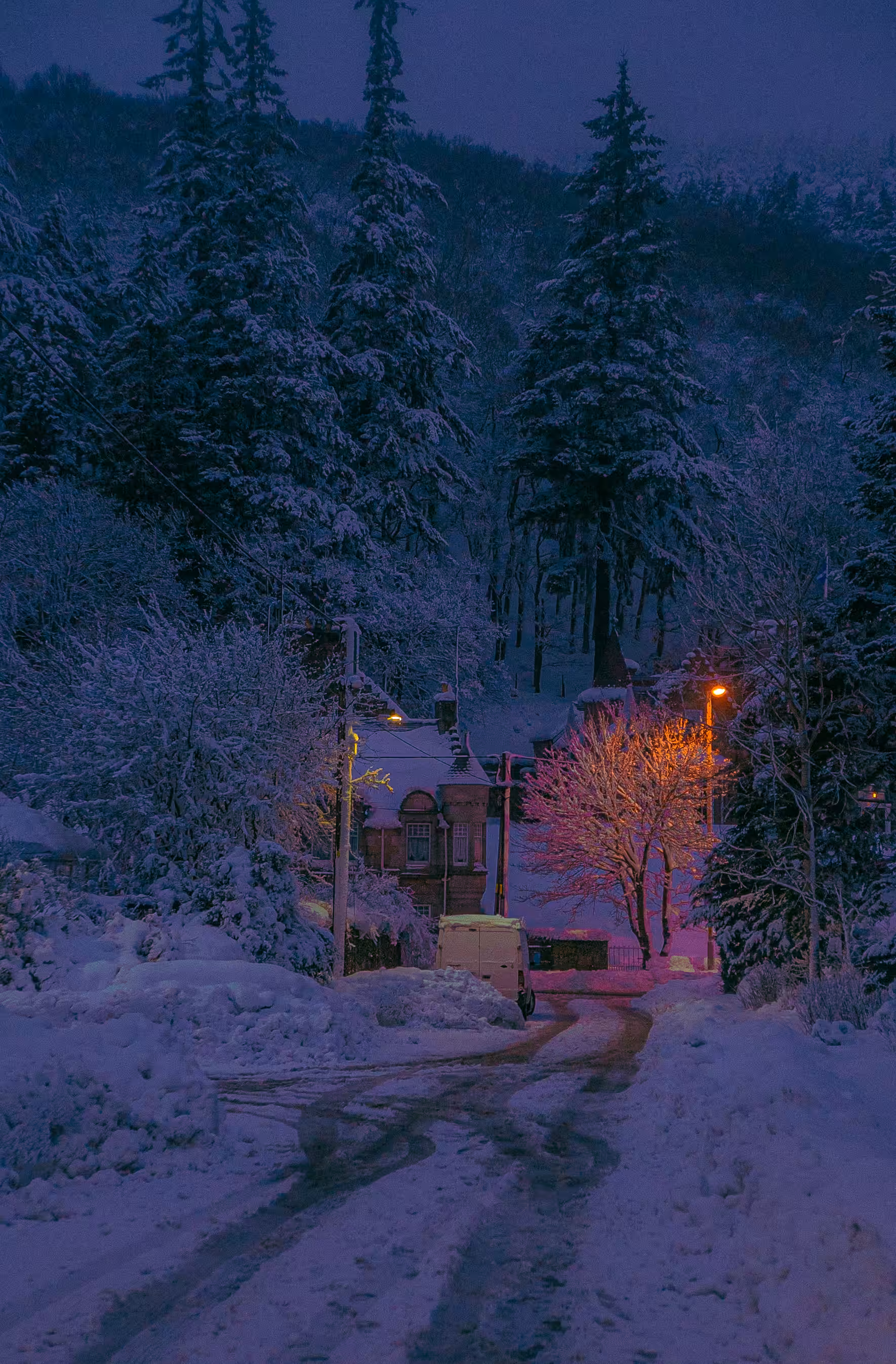 A Cold Winters Night