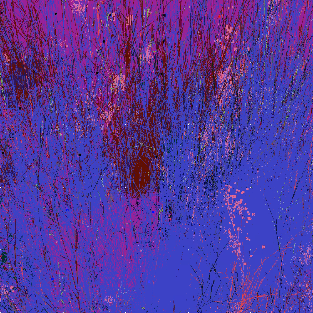 Infinite Garden: 51395 Flowers