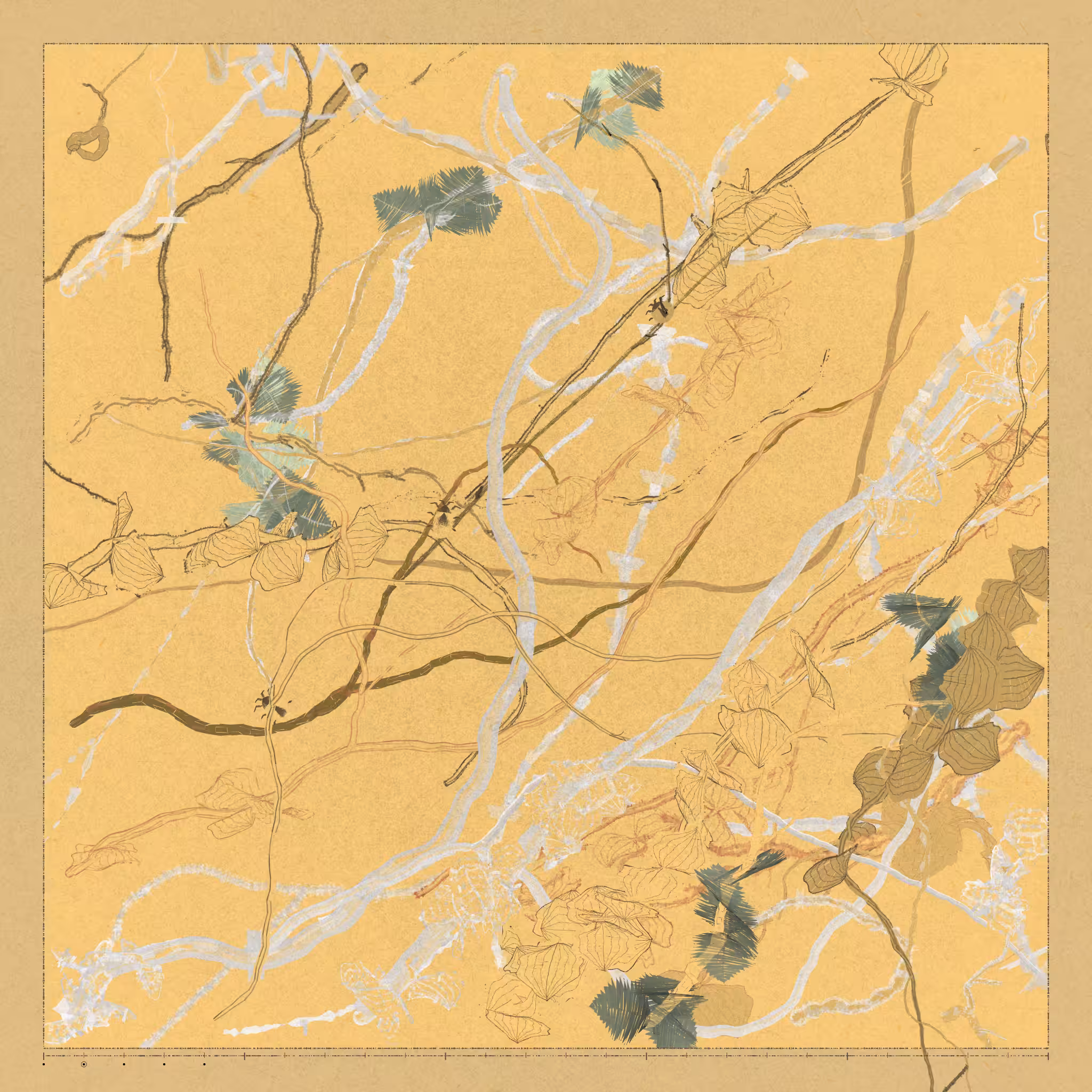 Polypaths | 植徑集 #450
