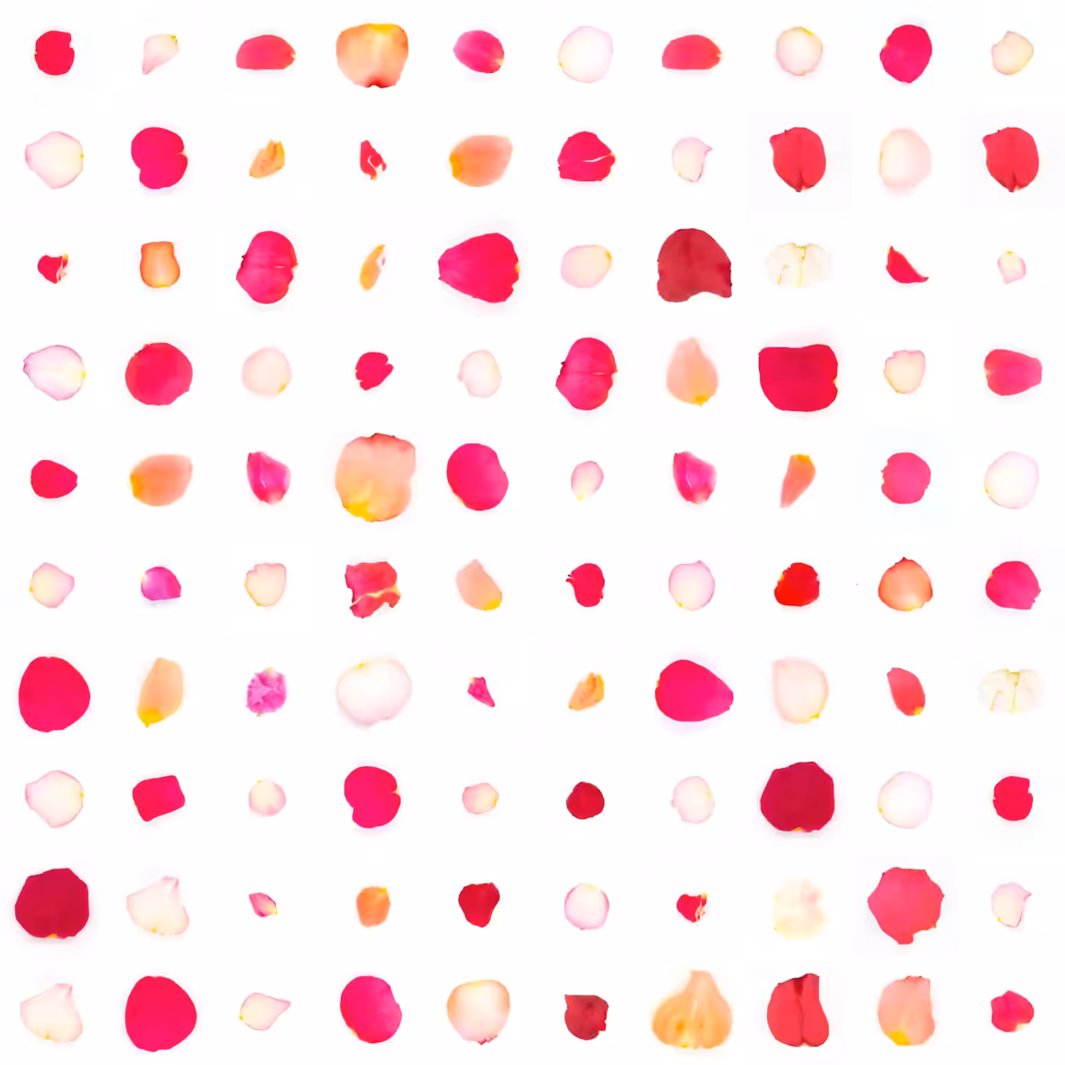 Infinite Petals 10x10#10105