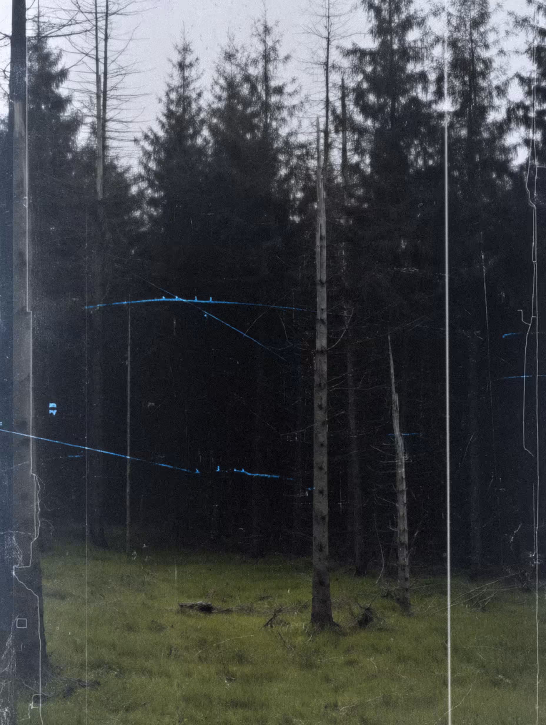 NeLandscape [15]