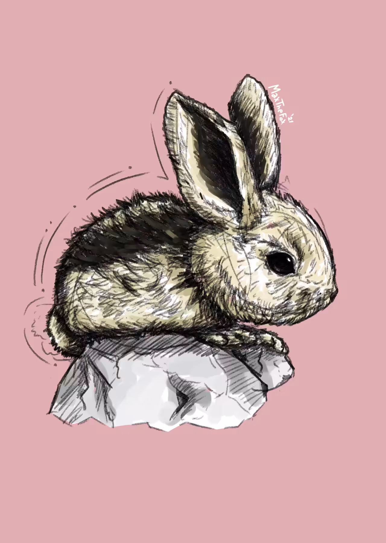 little rabbit