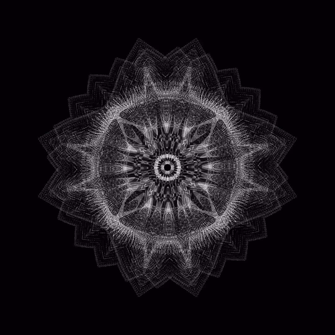 black orbital enigma X4