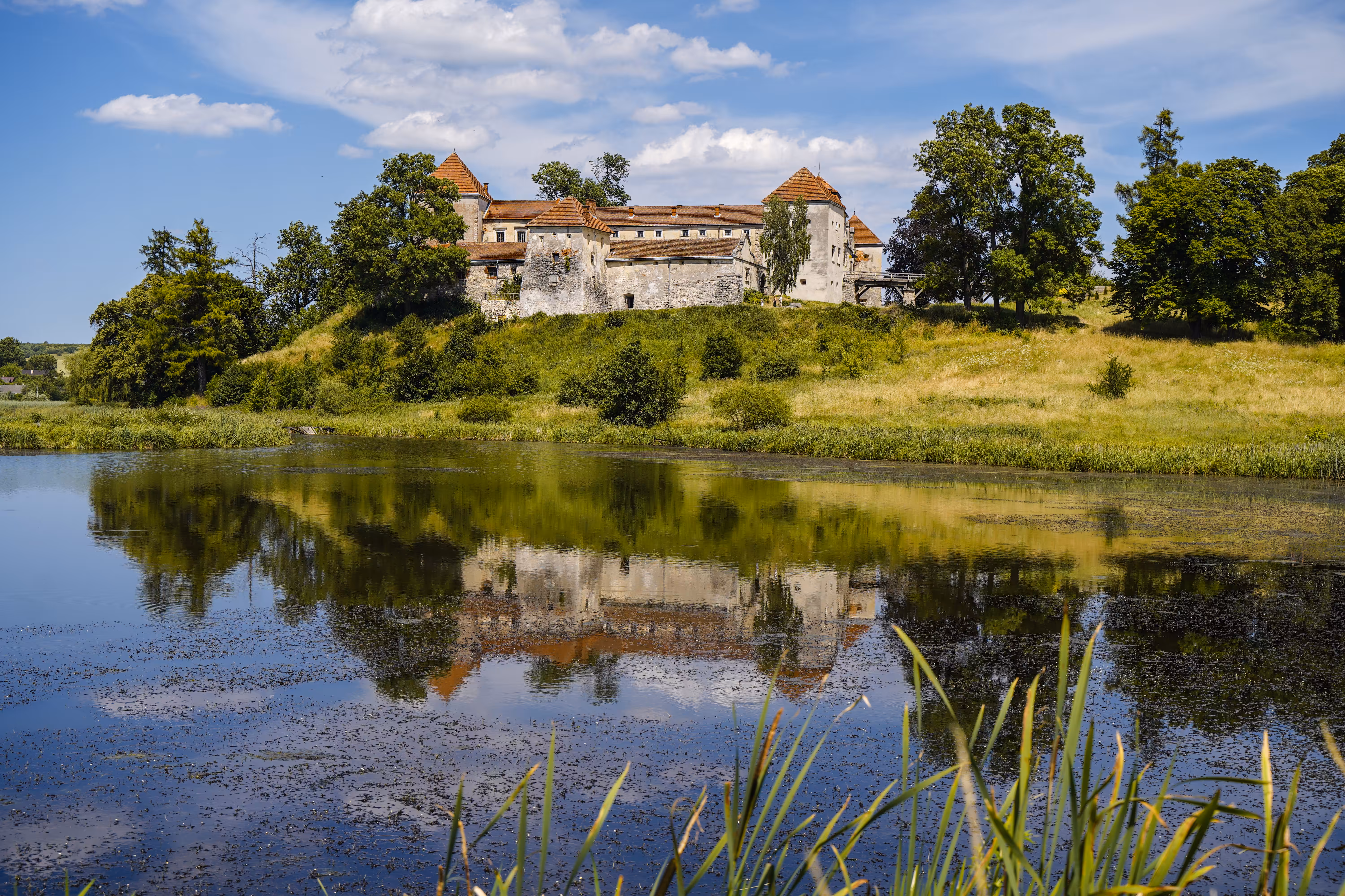 svirzh castle