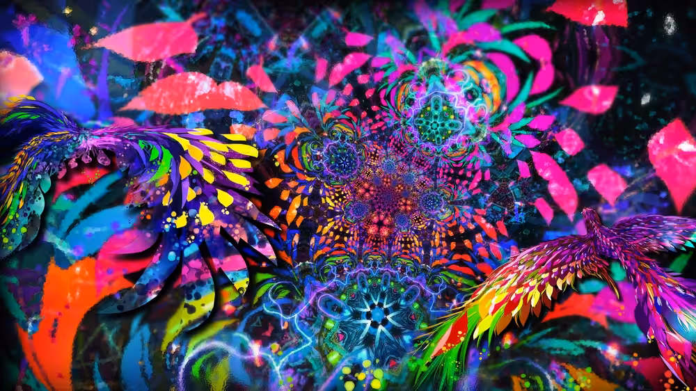 Cryptochrome Dreams