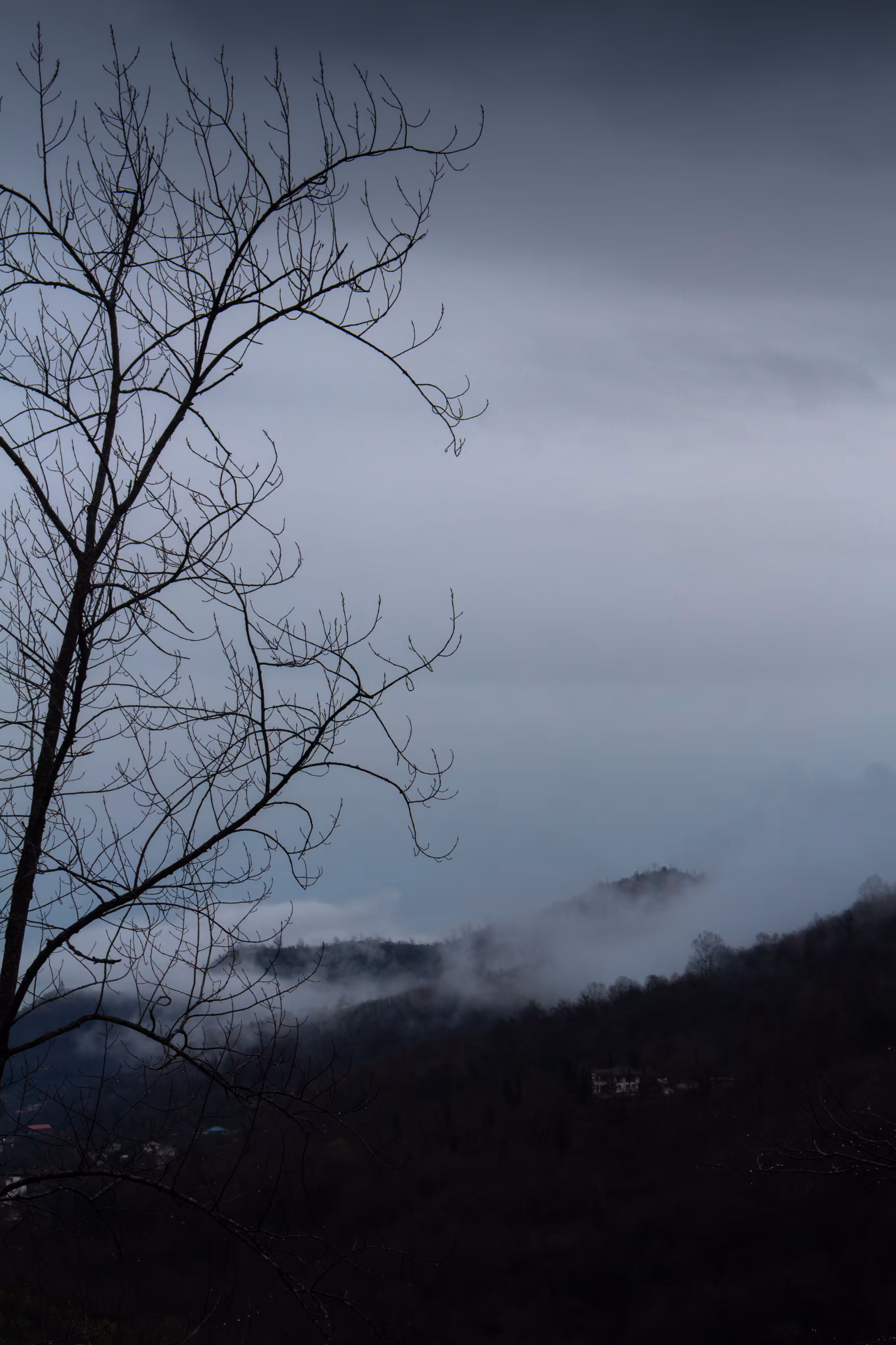 Wintry Memory