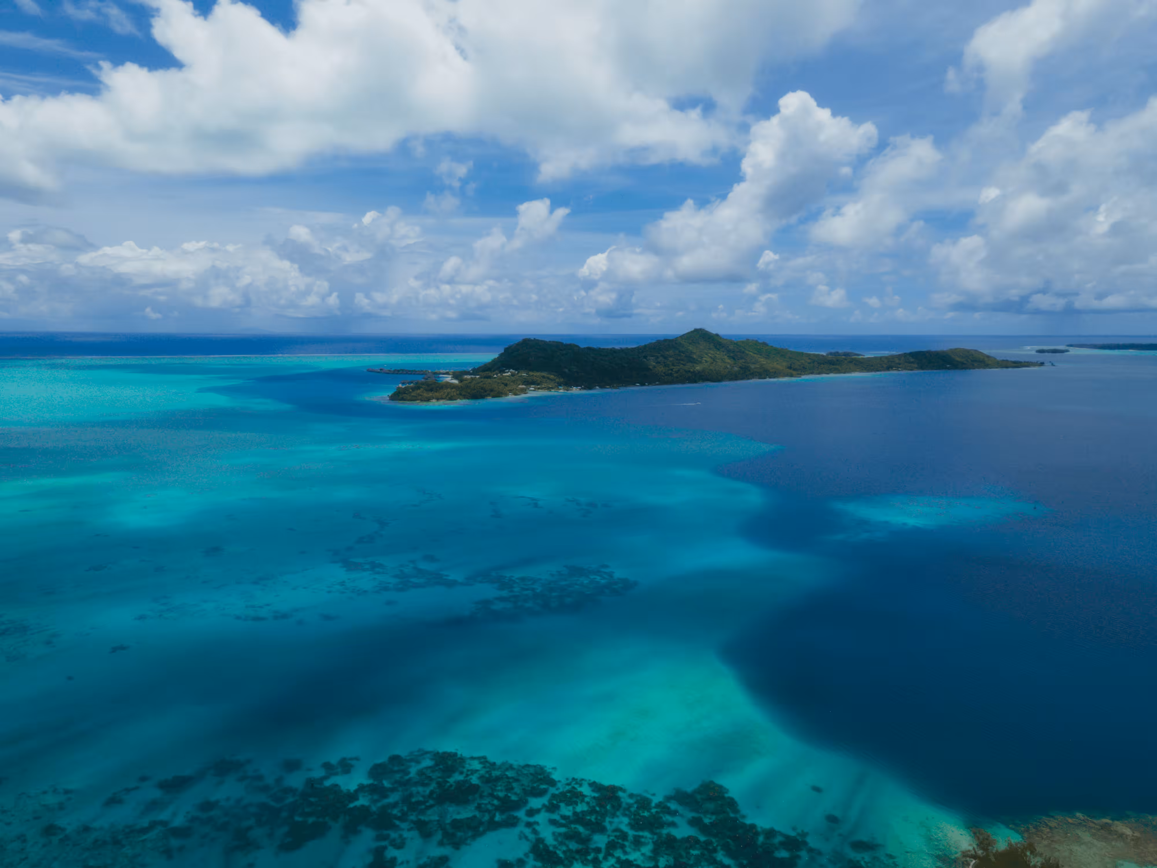 Polynesian Paradise #8