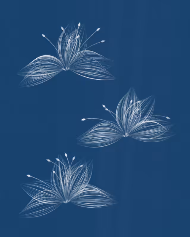 Cyanotypes #153