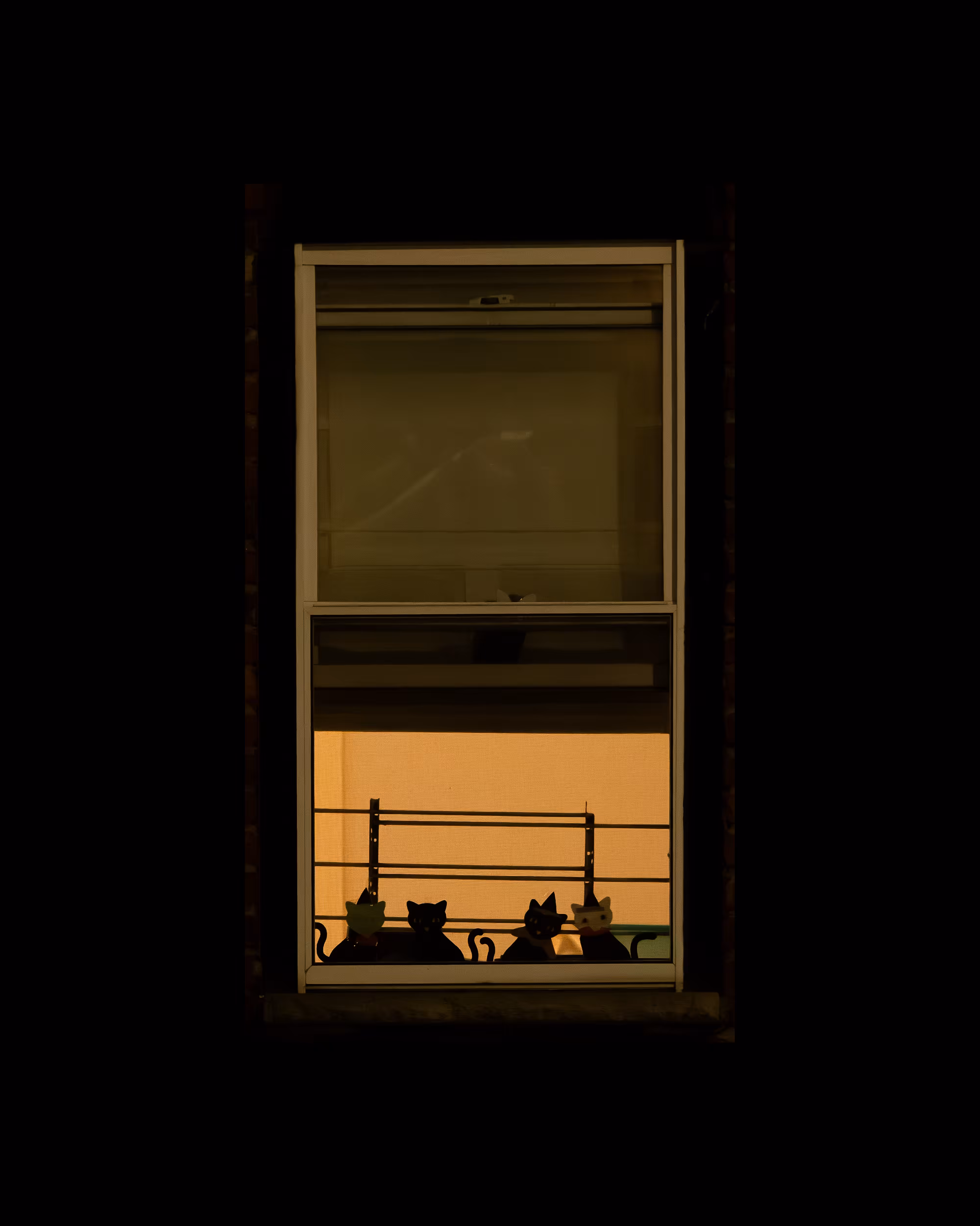 WINDOW 102