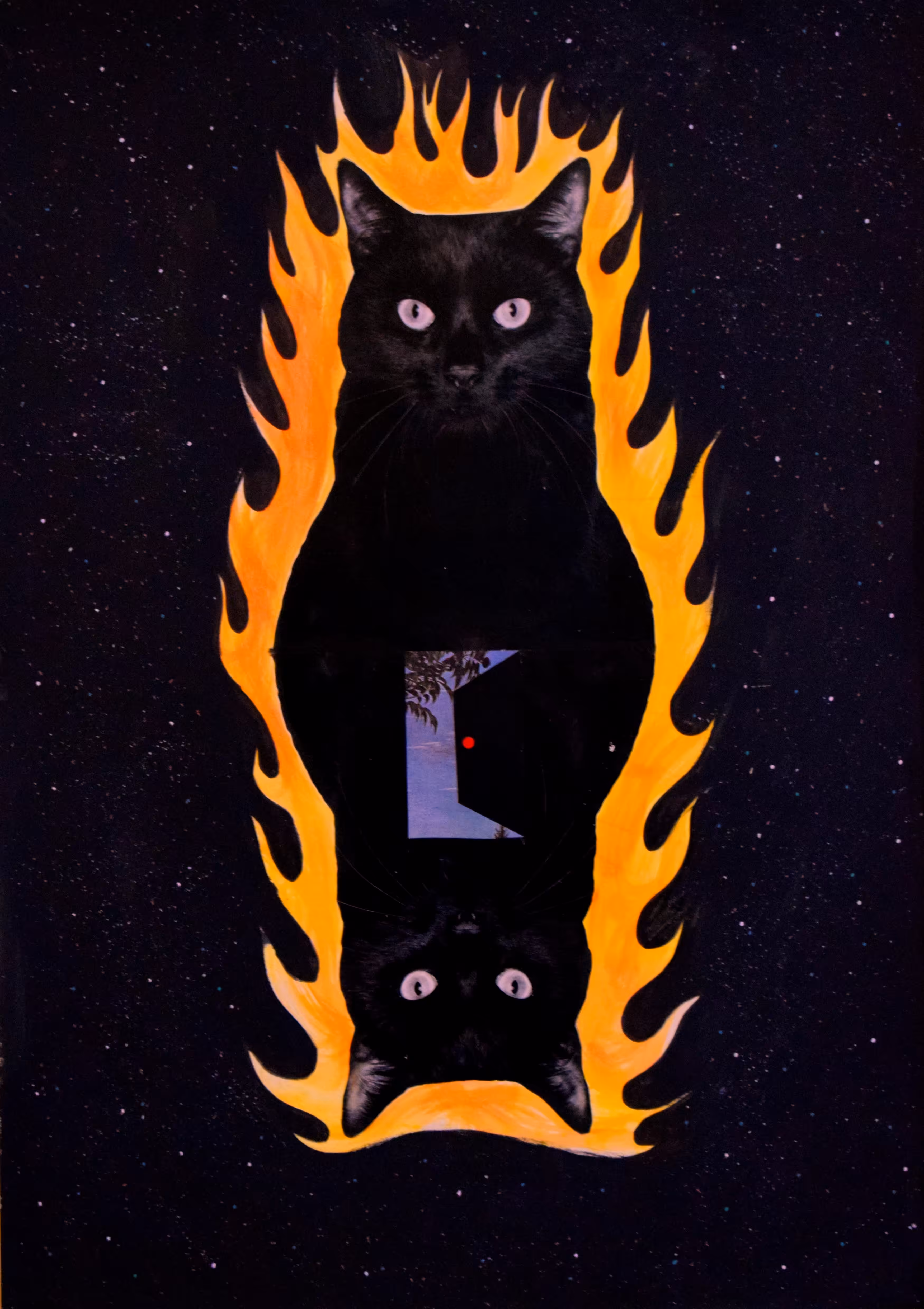 Black Cat