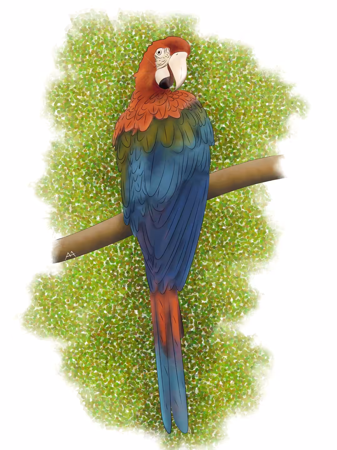 Colorful macaw #1