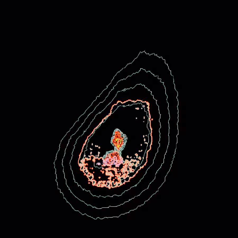 m2112052117png900x900