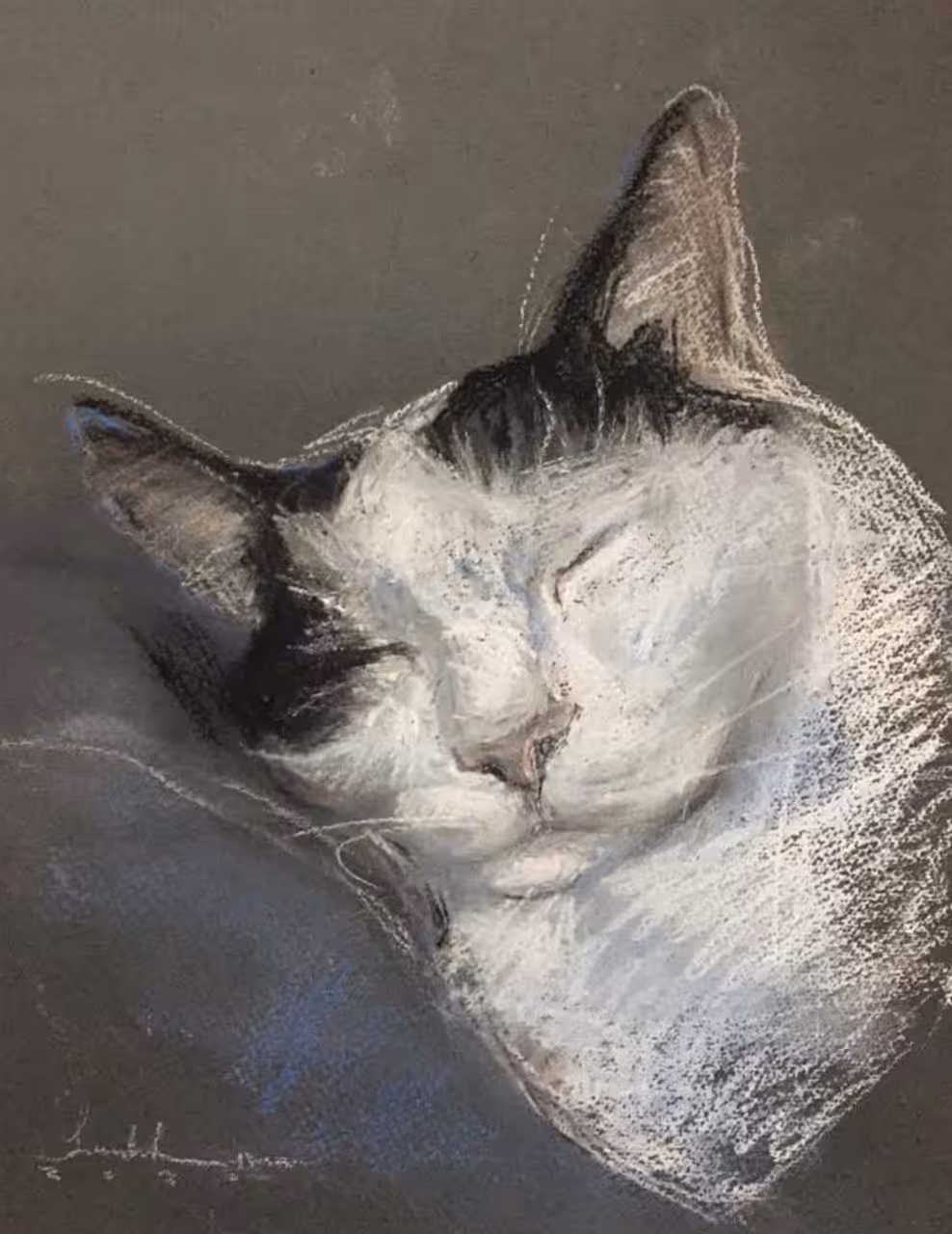 BELLA.