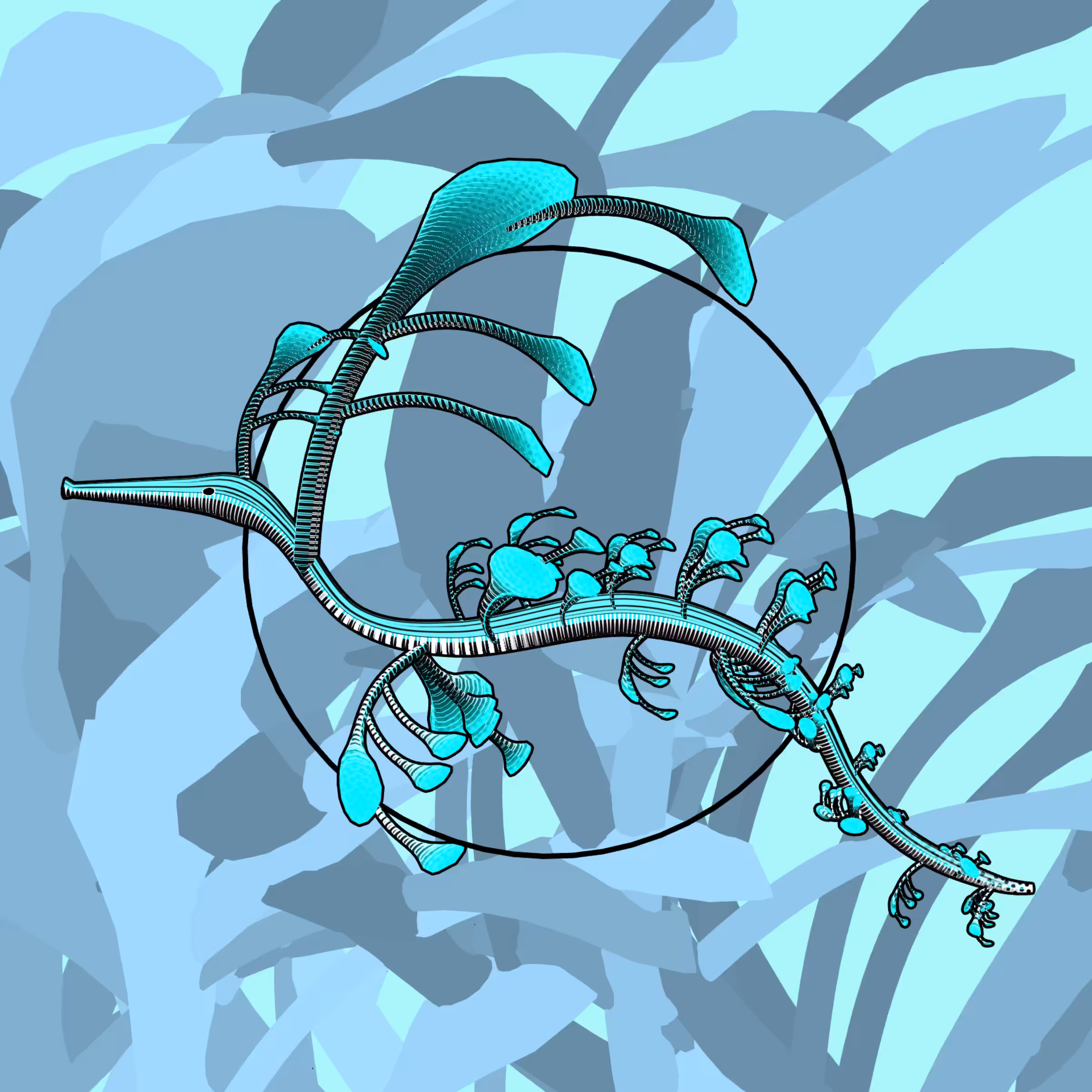 Seadragons #738