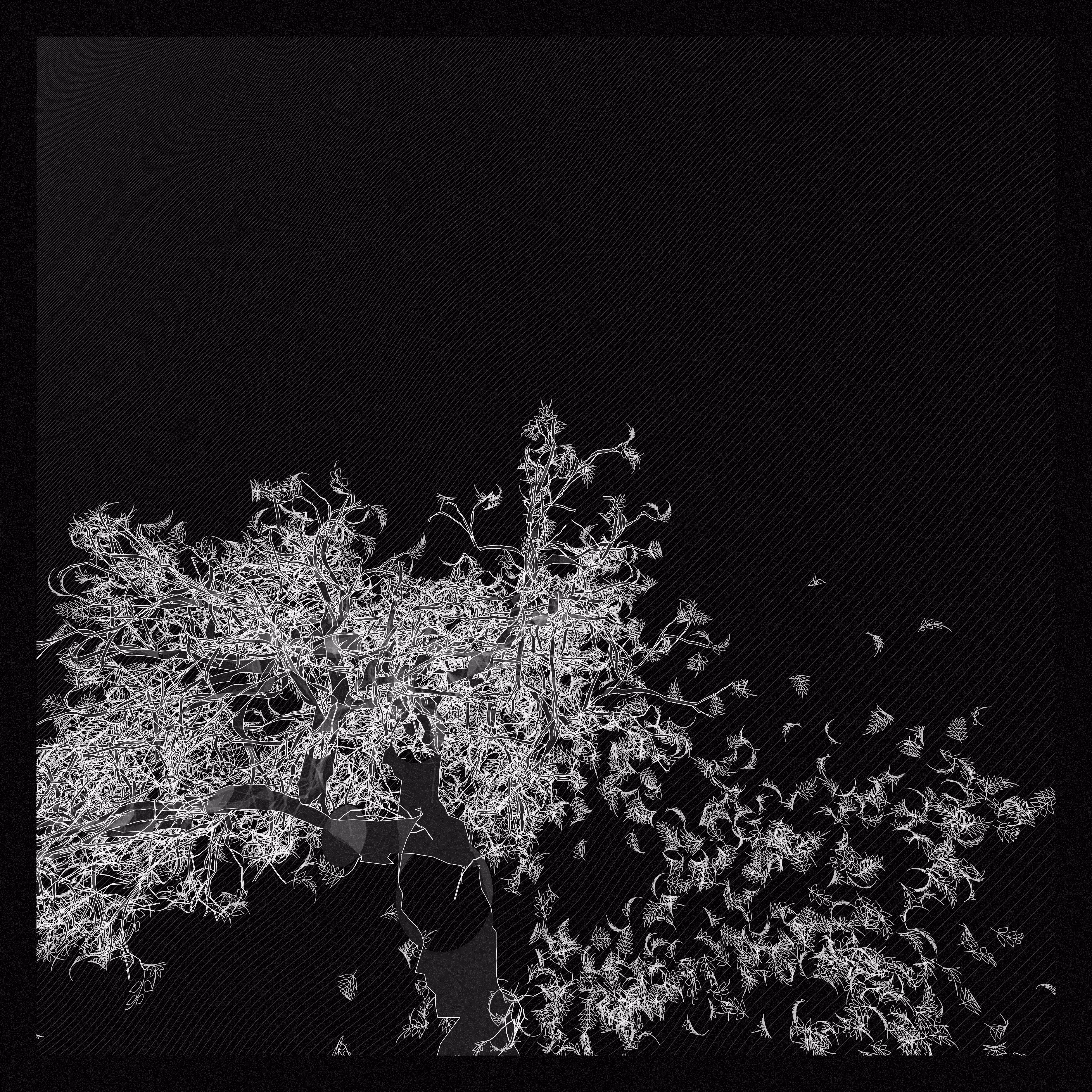 A Bugged Forest #246