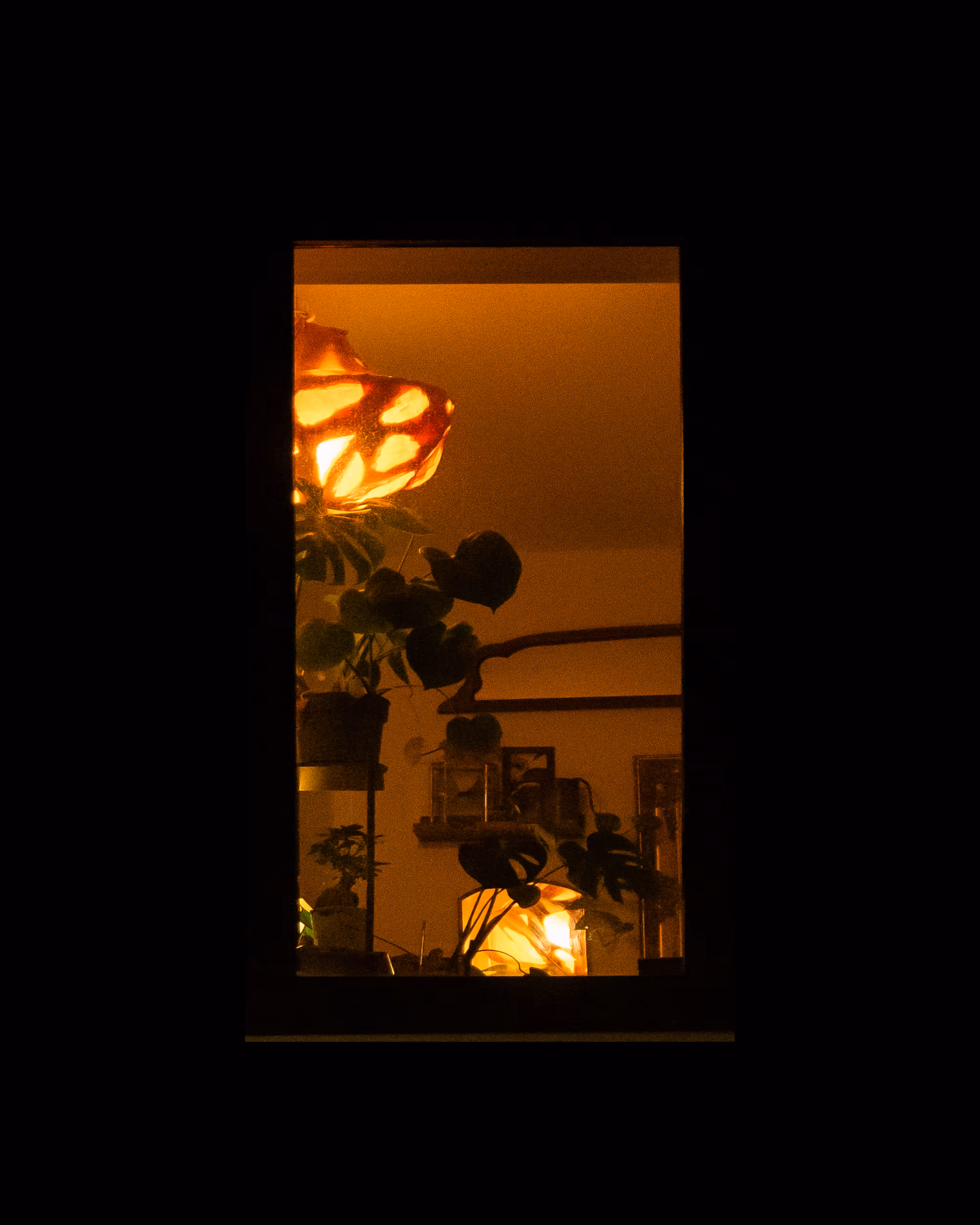 WINDOWS // NYC: WINDOW 214