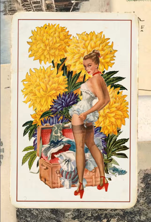 Paper Pinups #17