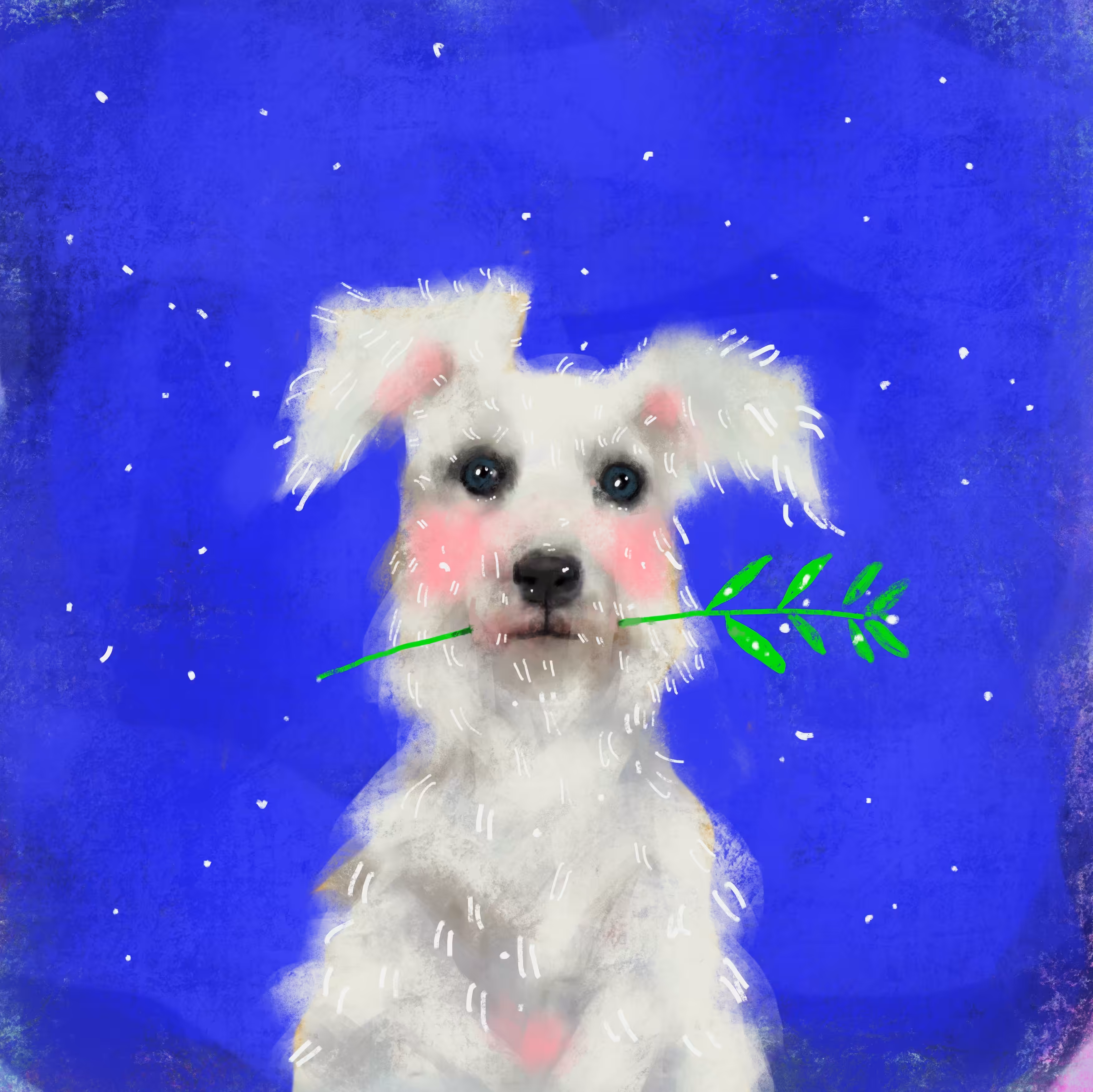 #37 Holly