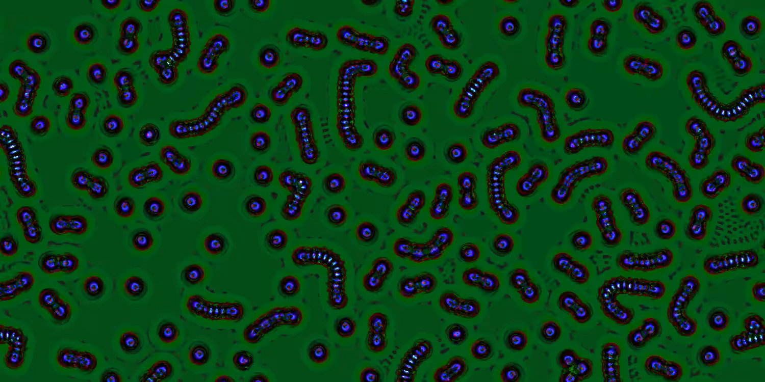 Arsiliathan Worms