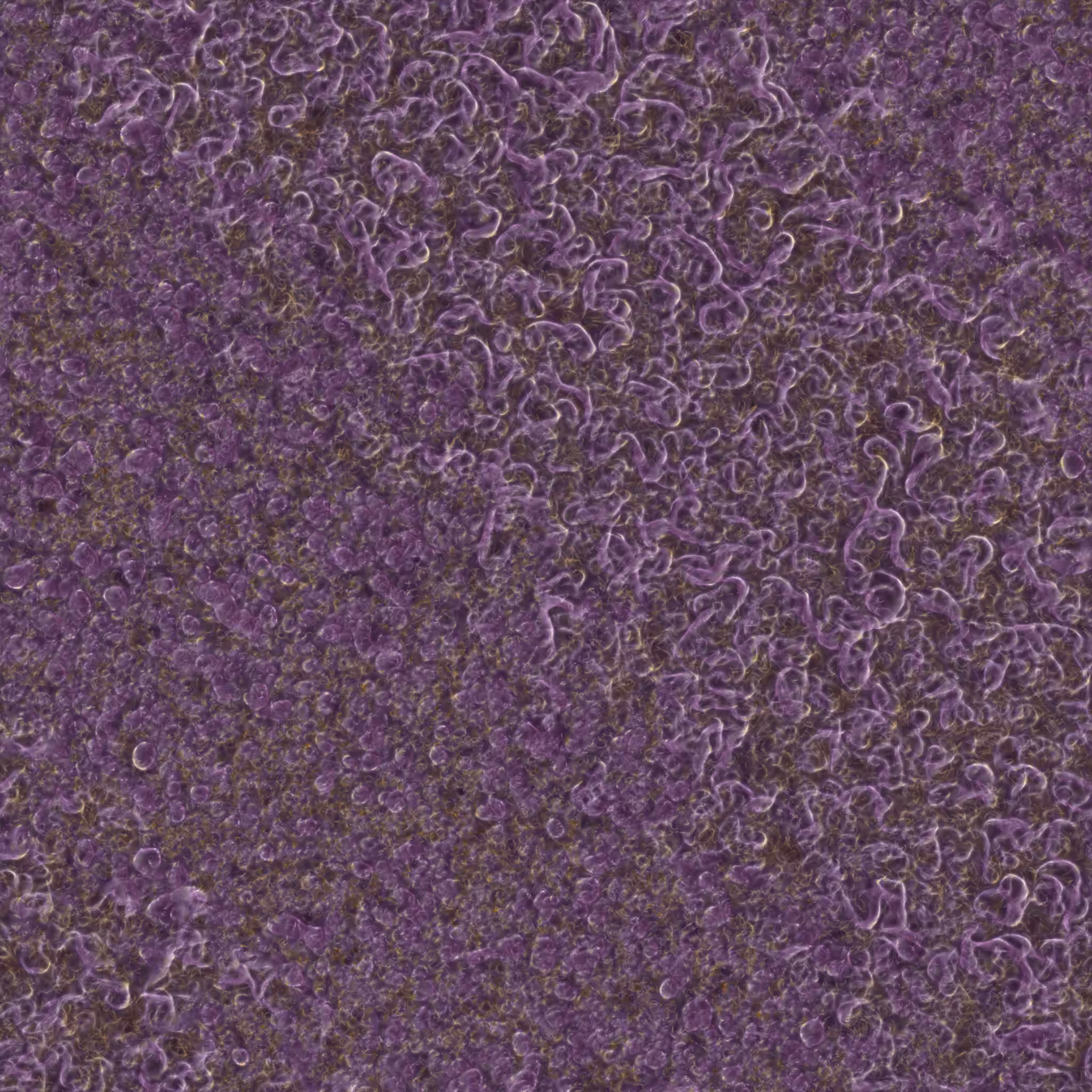 saprophyte #171