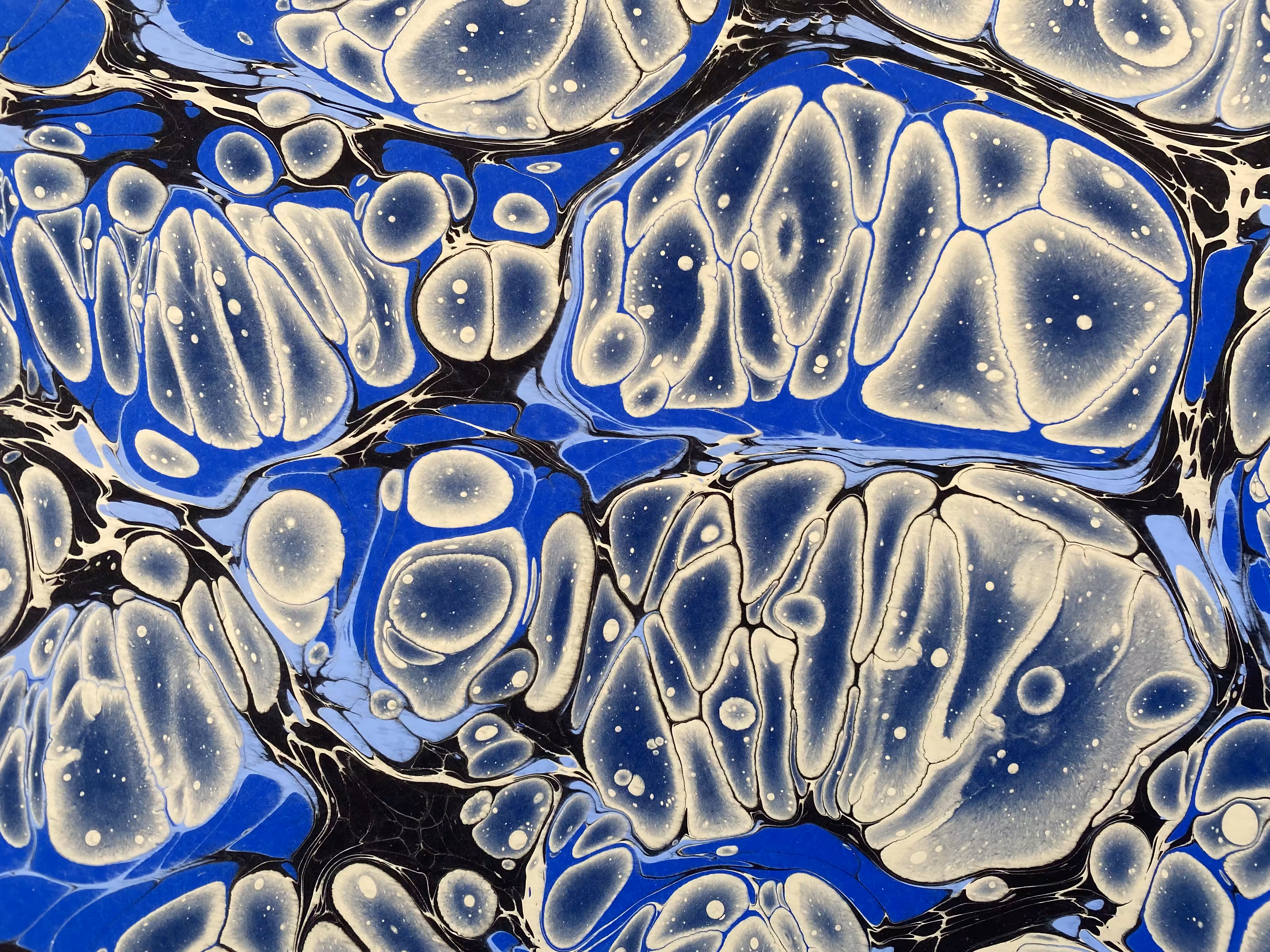 Battal Ebrû / Marbling Art SE #19