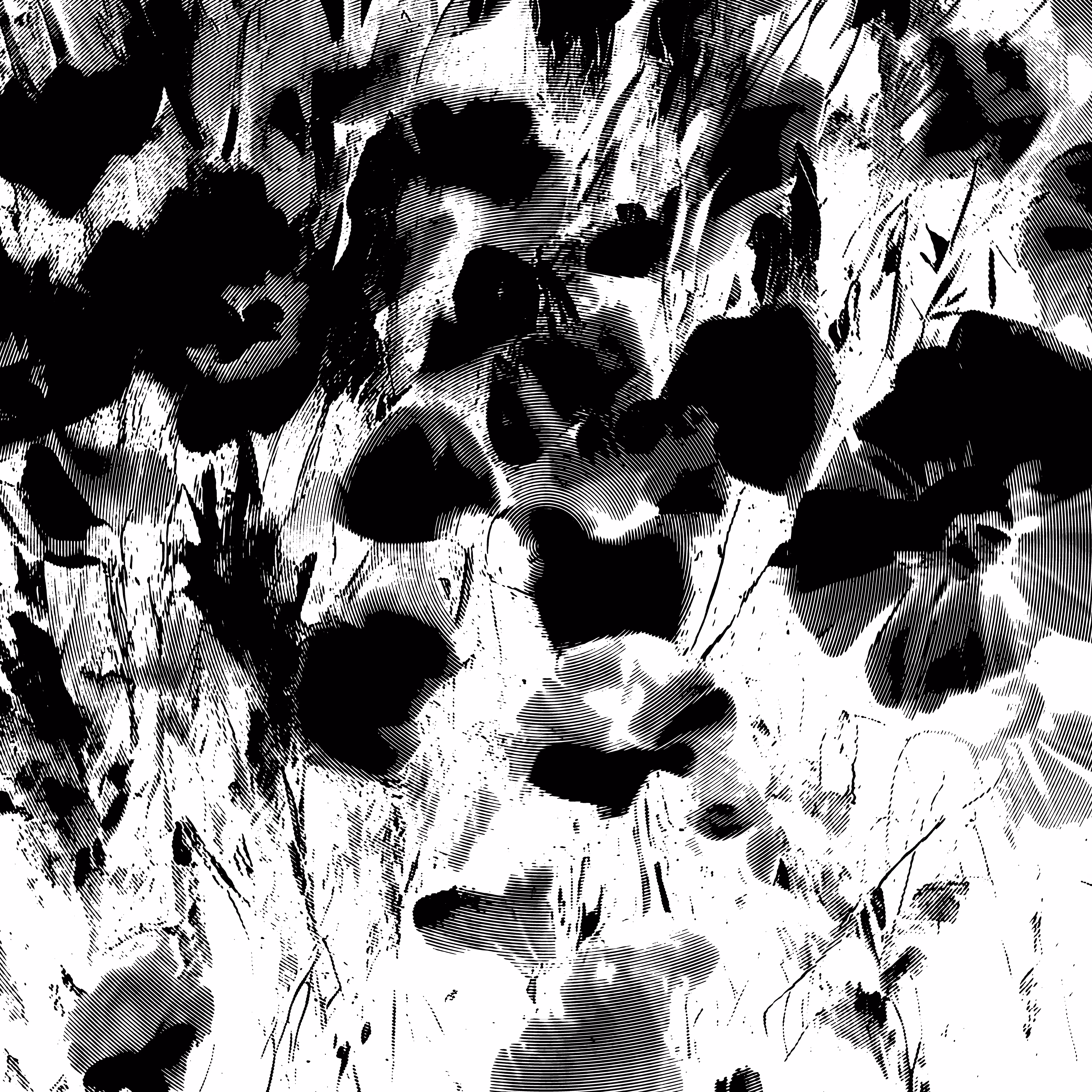 The Shadows: shadow #46