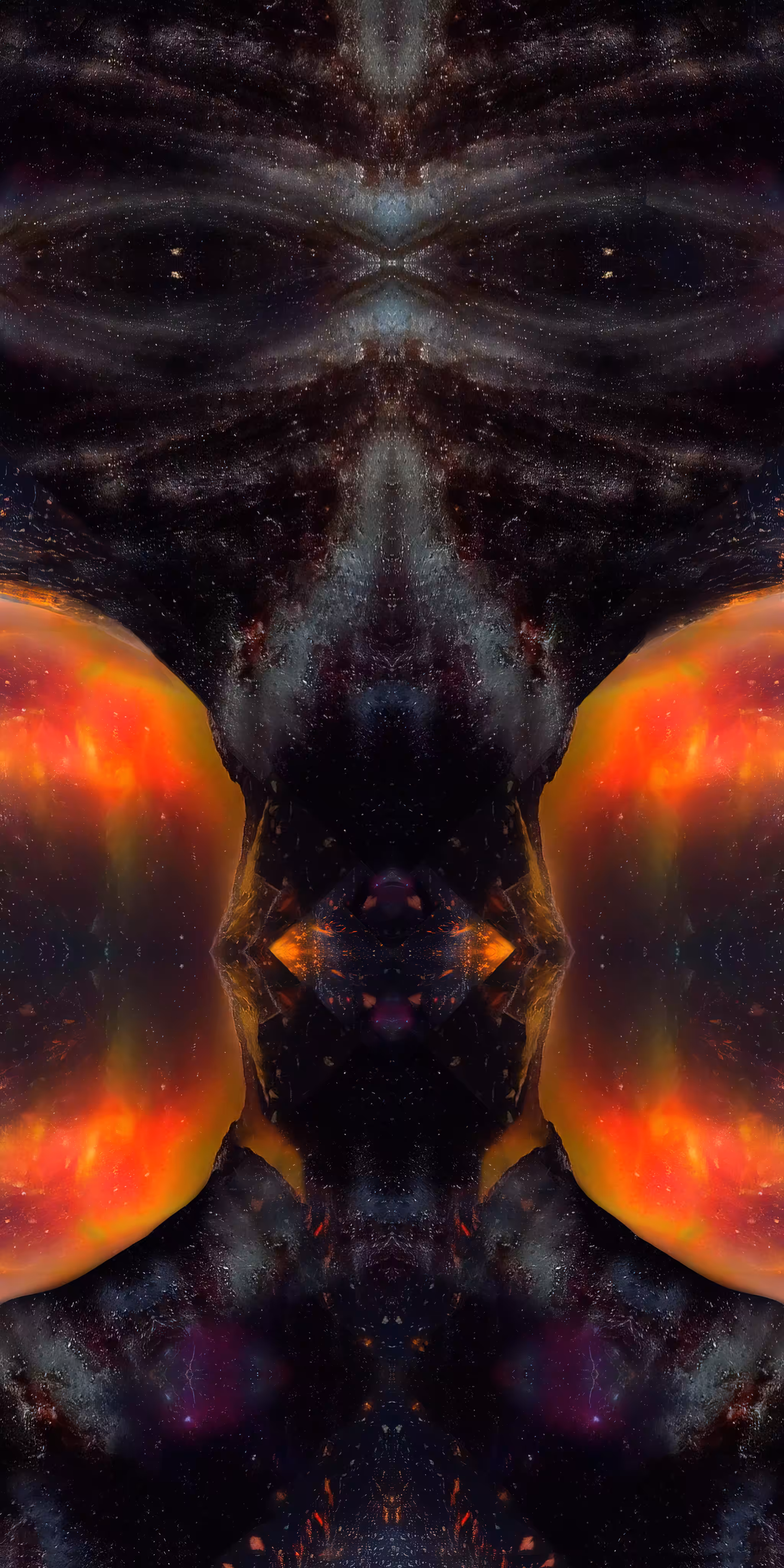 Blackbox Holodex