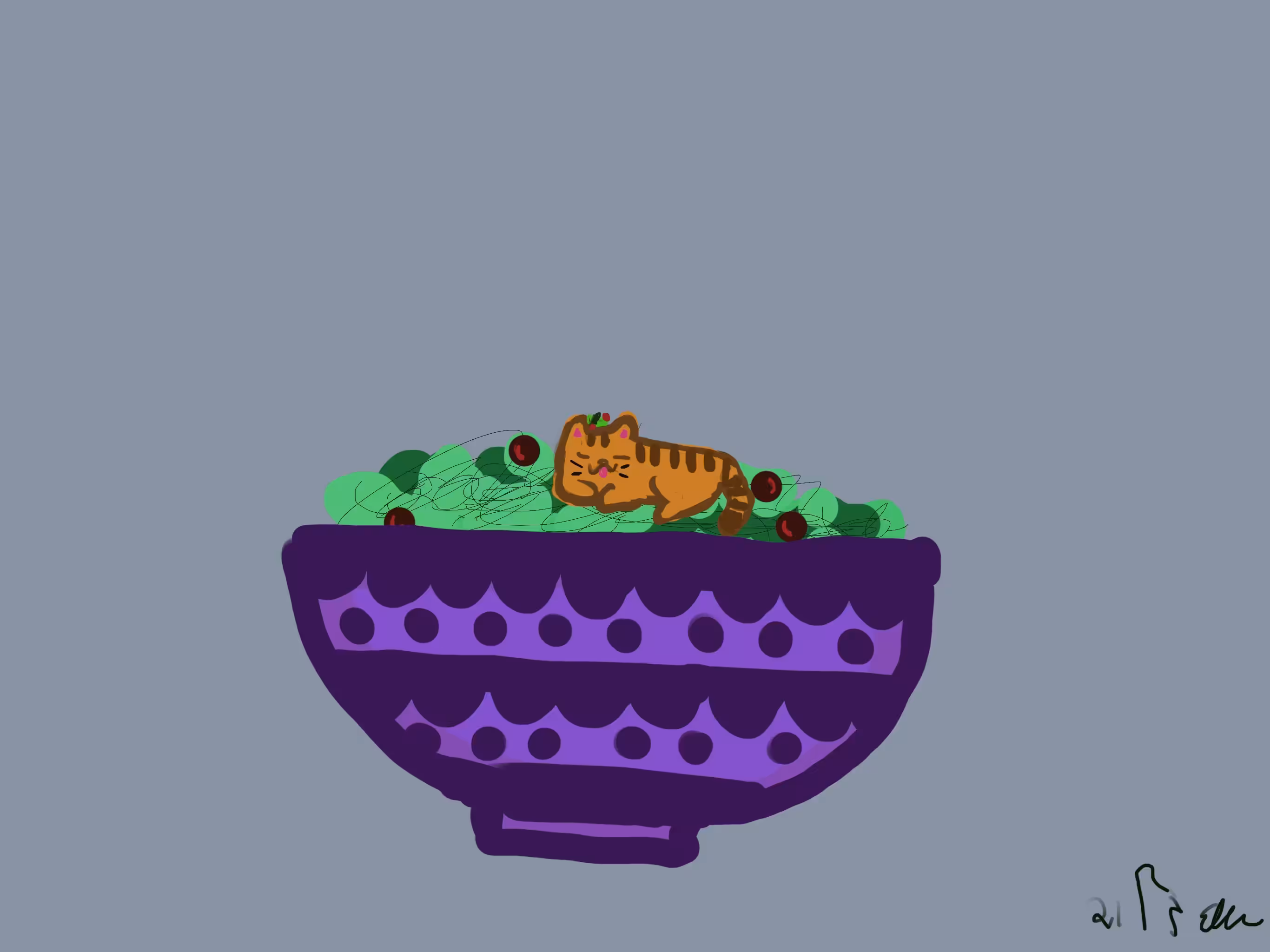 cat in salad