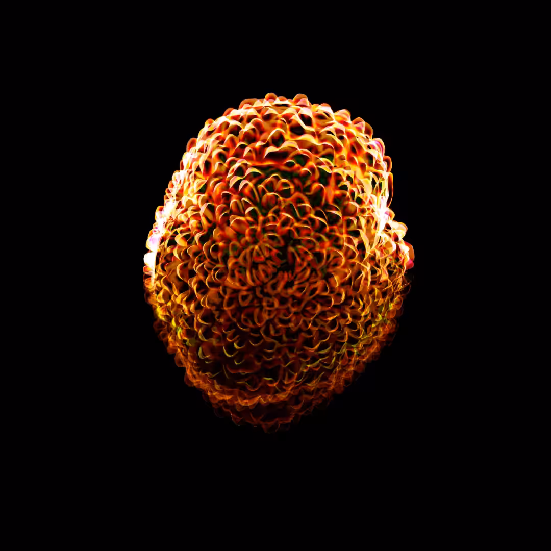 Reactor II