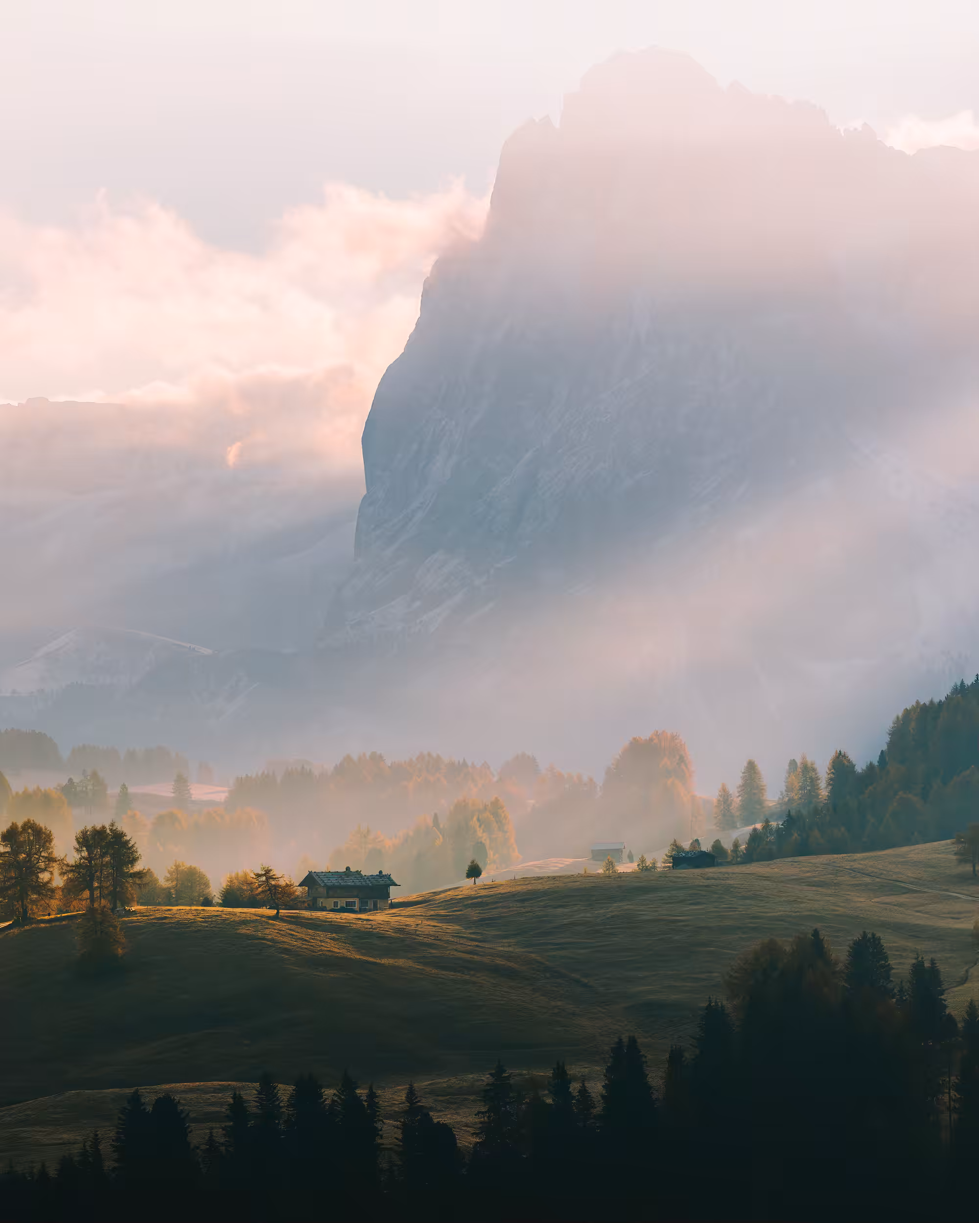 Rays of Hope