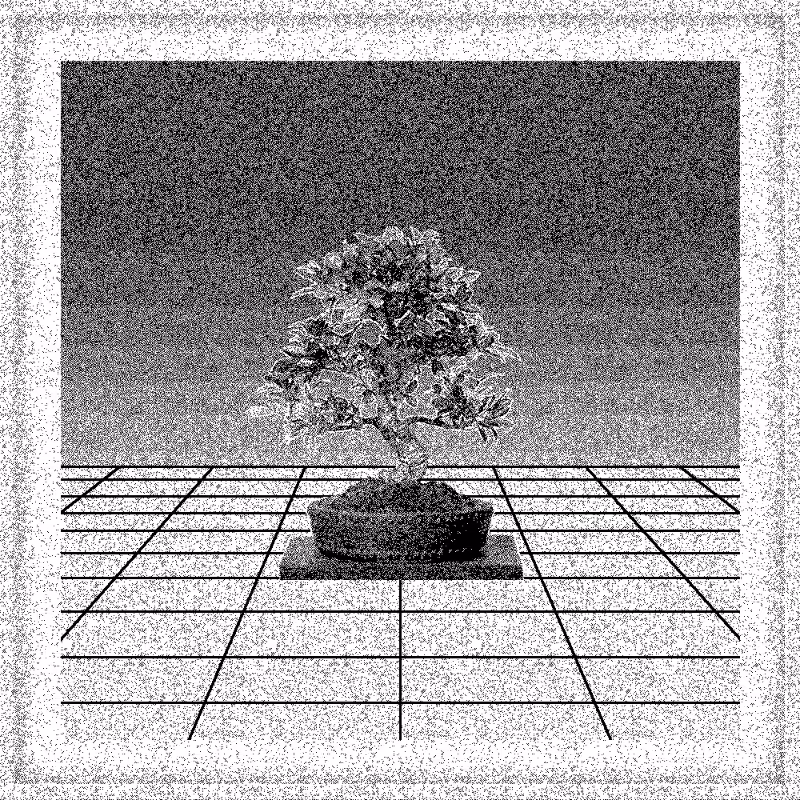 Bonsai Bonanza #323