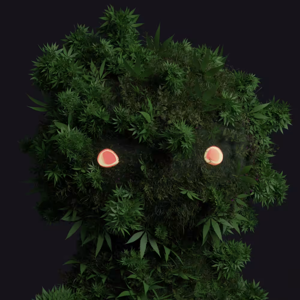 iAM #420 Mary Jane