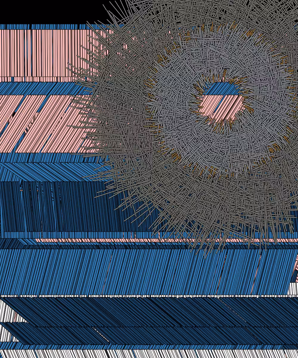 Shavings #204