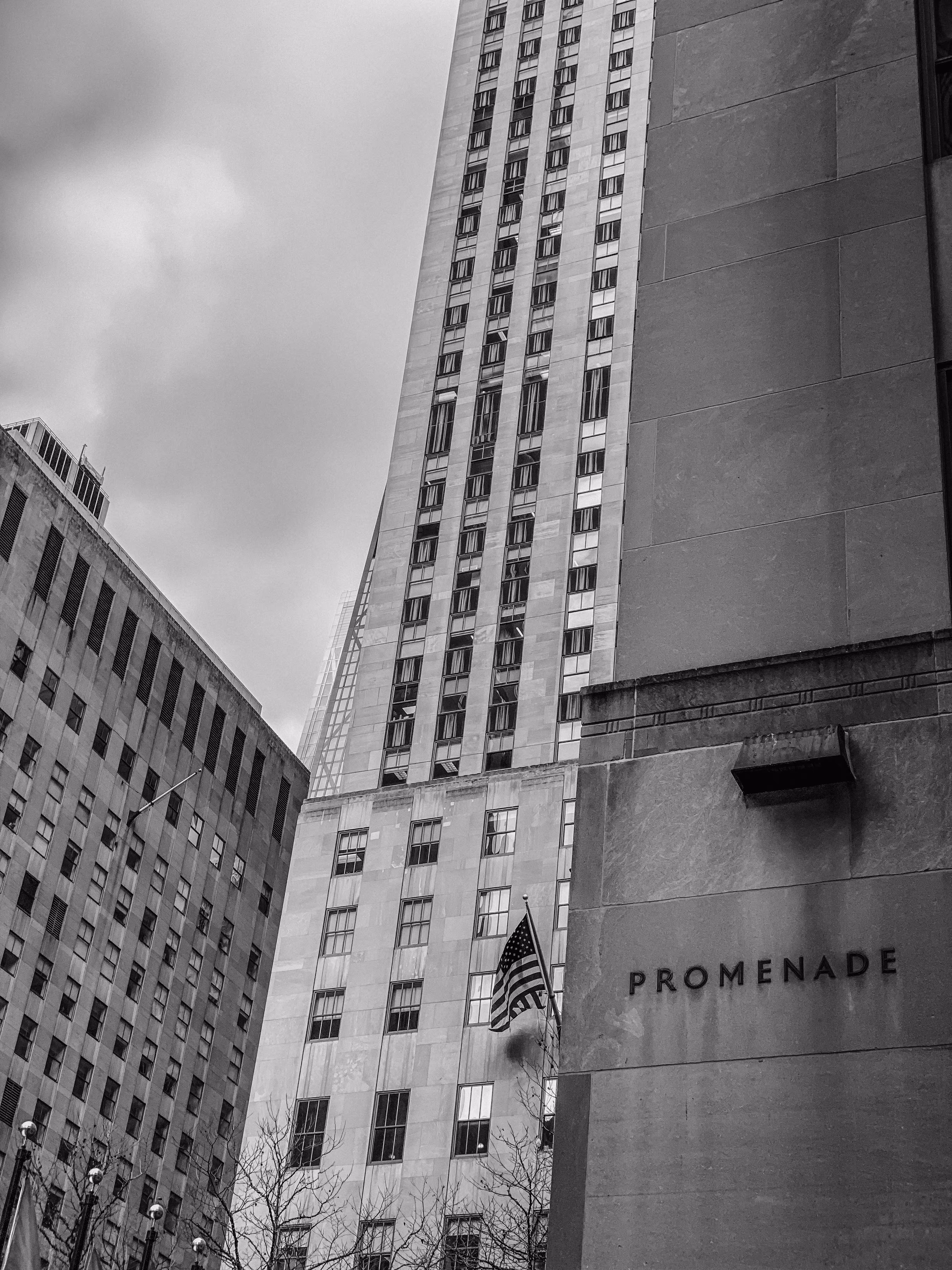 New York City Views