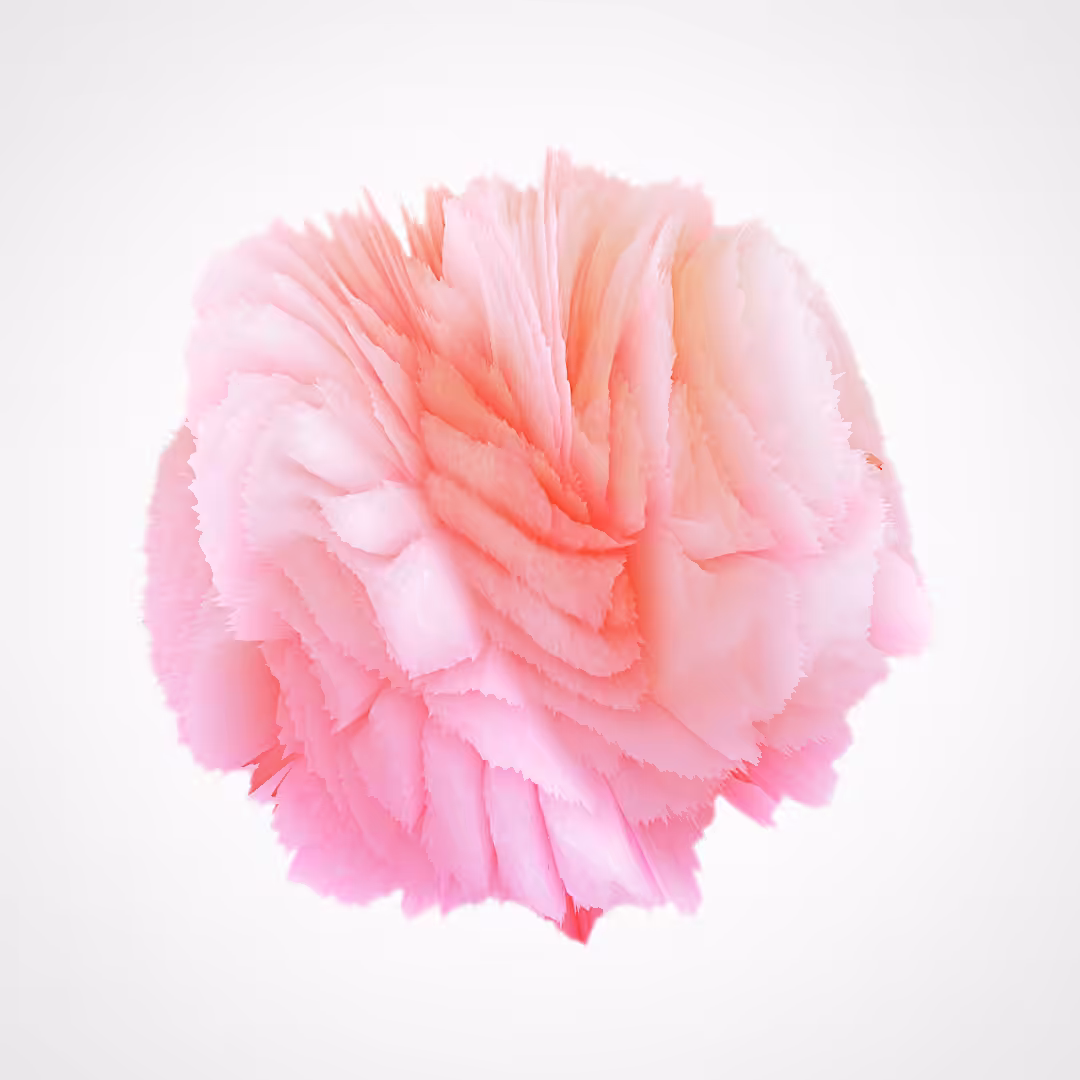 CryptoBlooming 8/9