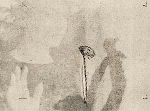 /Fragile Dreams/